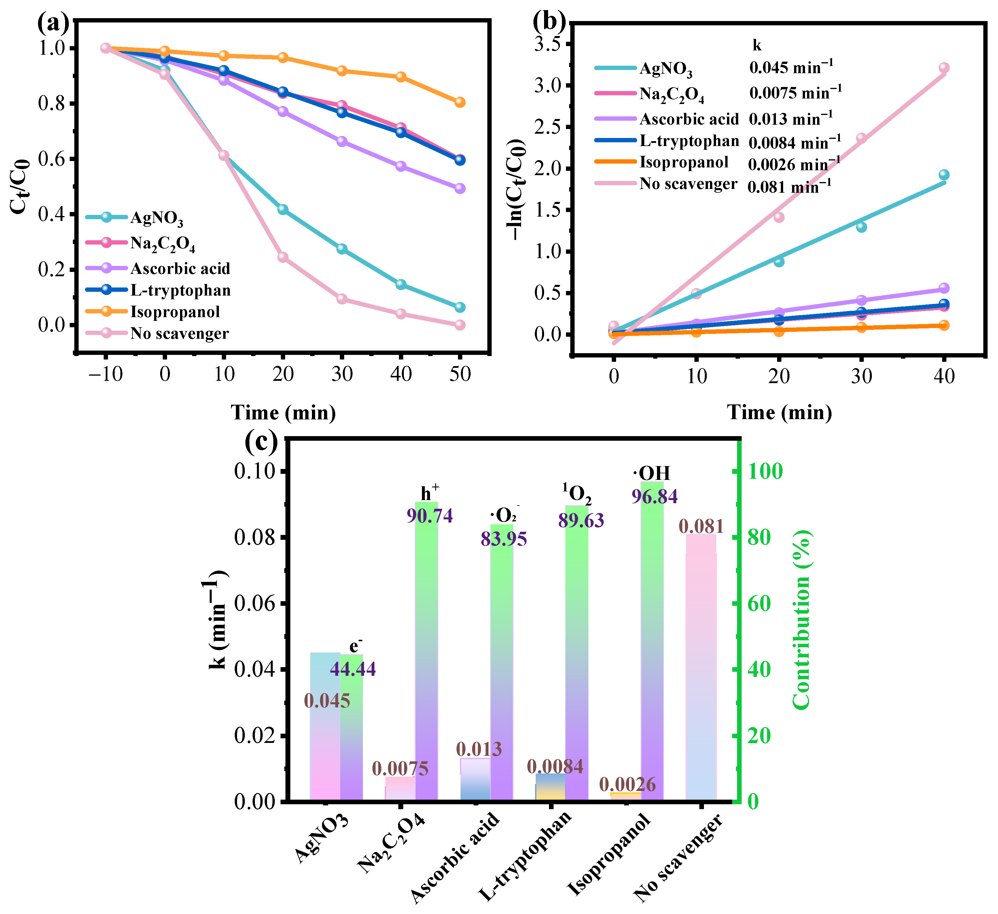 Nanomaterials 14 00926 g011