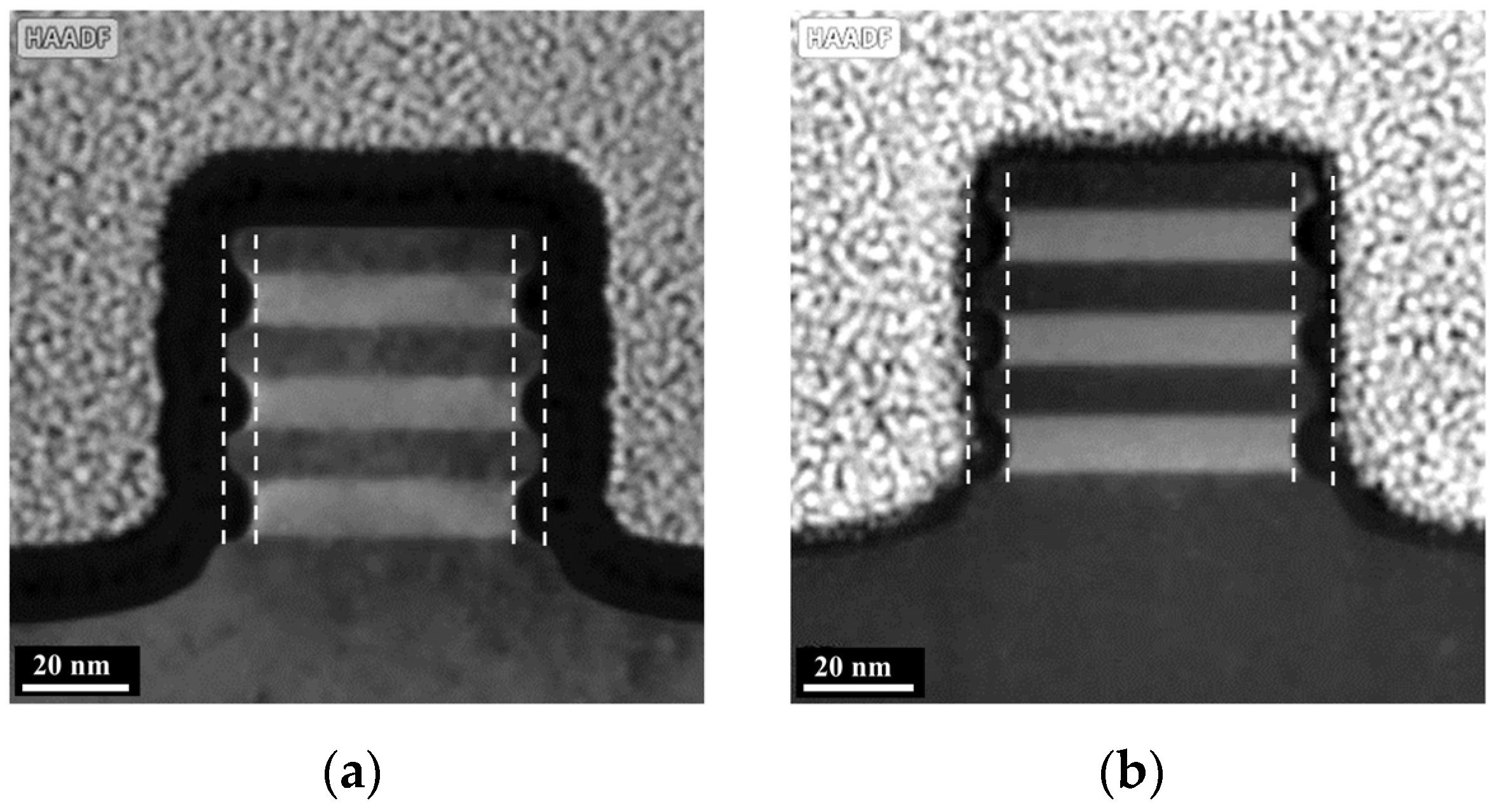 Nanomaterials 14 00928 g007