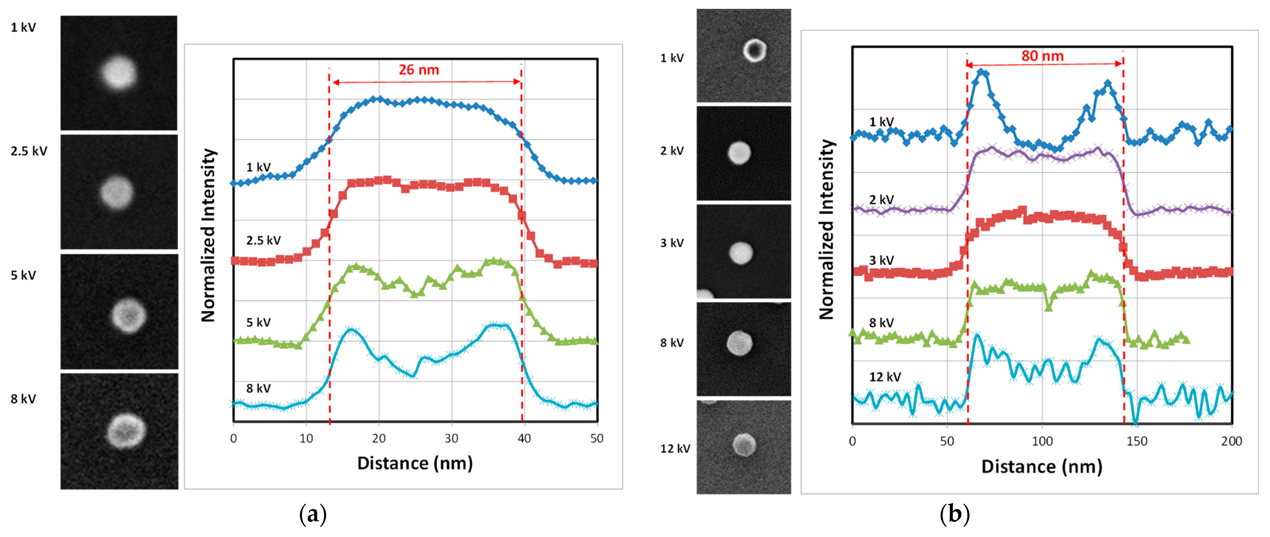 Nanomaterials 14 00931 g008