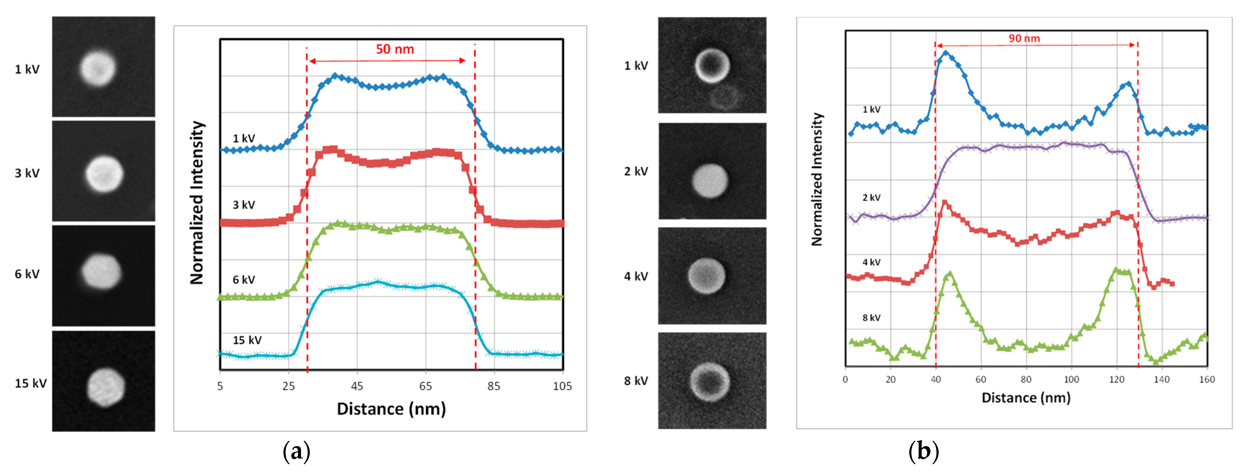 Nanomaterials 14 00931 g009