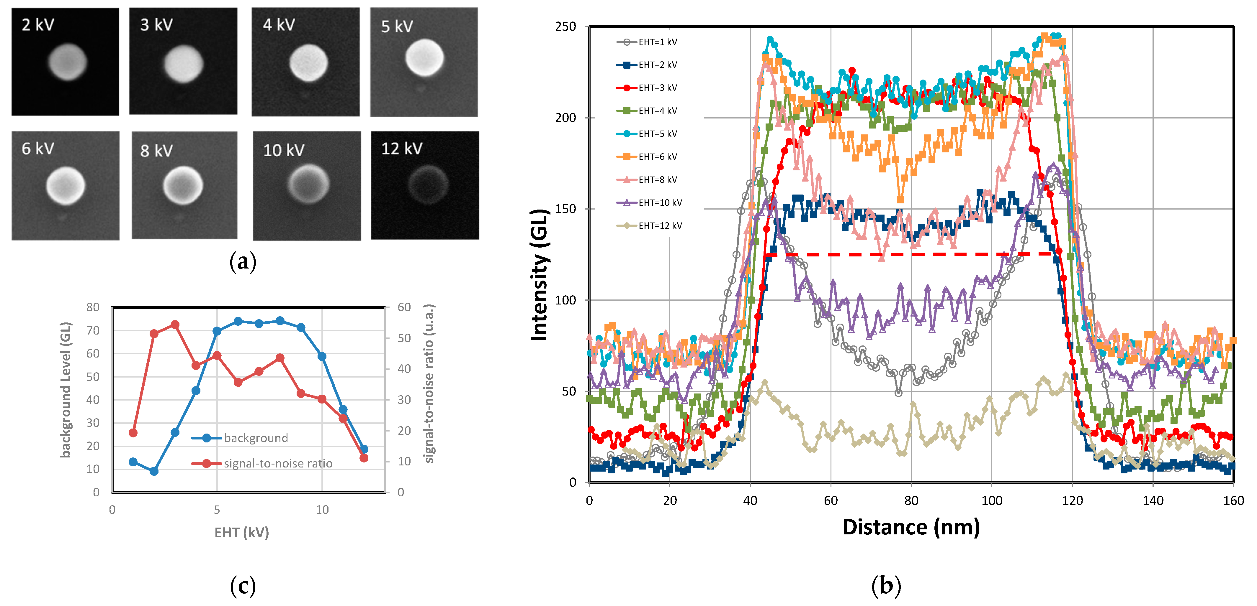 Nanomaterials 14 00931 g010