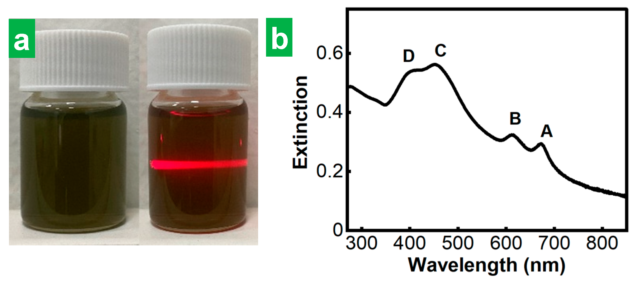 Nanomaterials 14 00932 g002