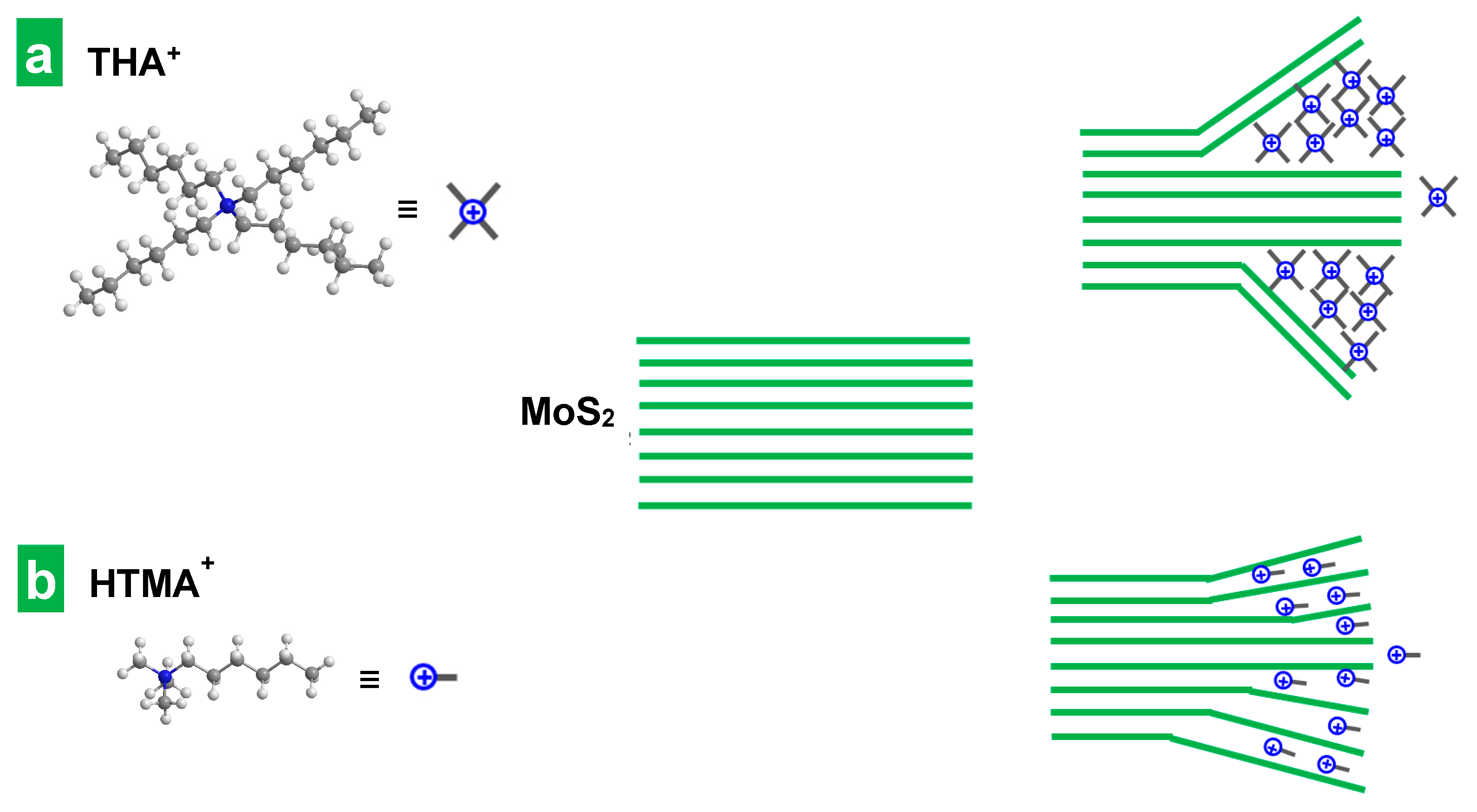 Nanomaterials 14 00932 g004