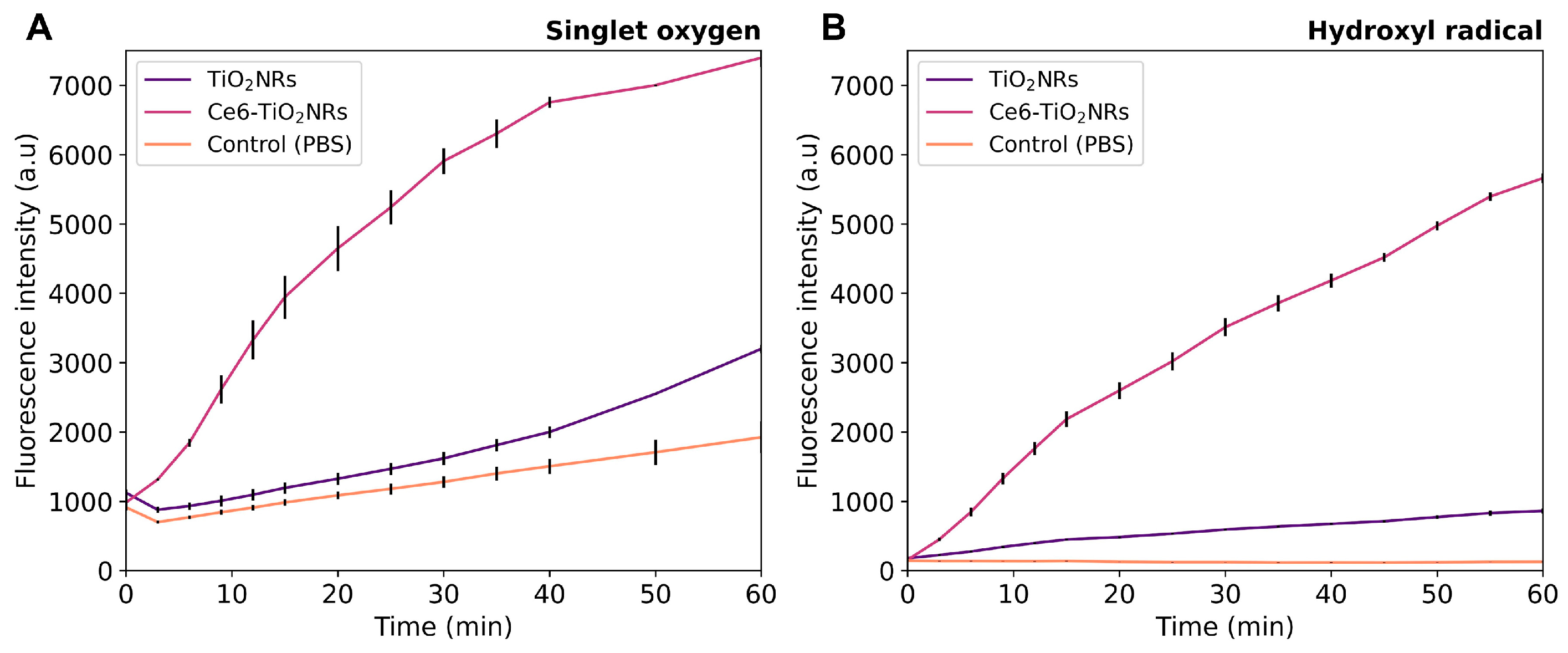 Nanomaterials 14 00933 g003