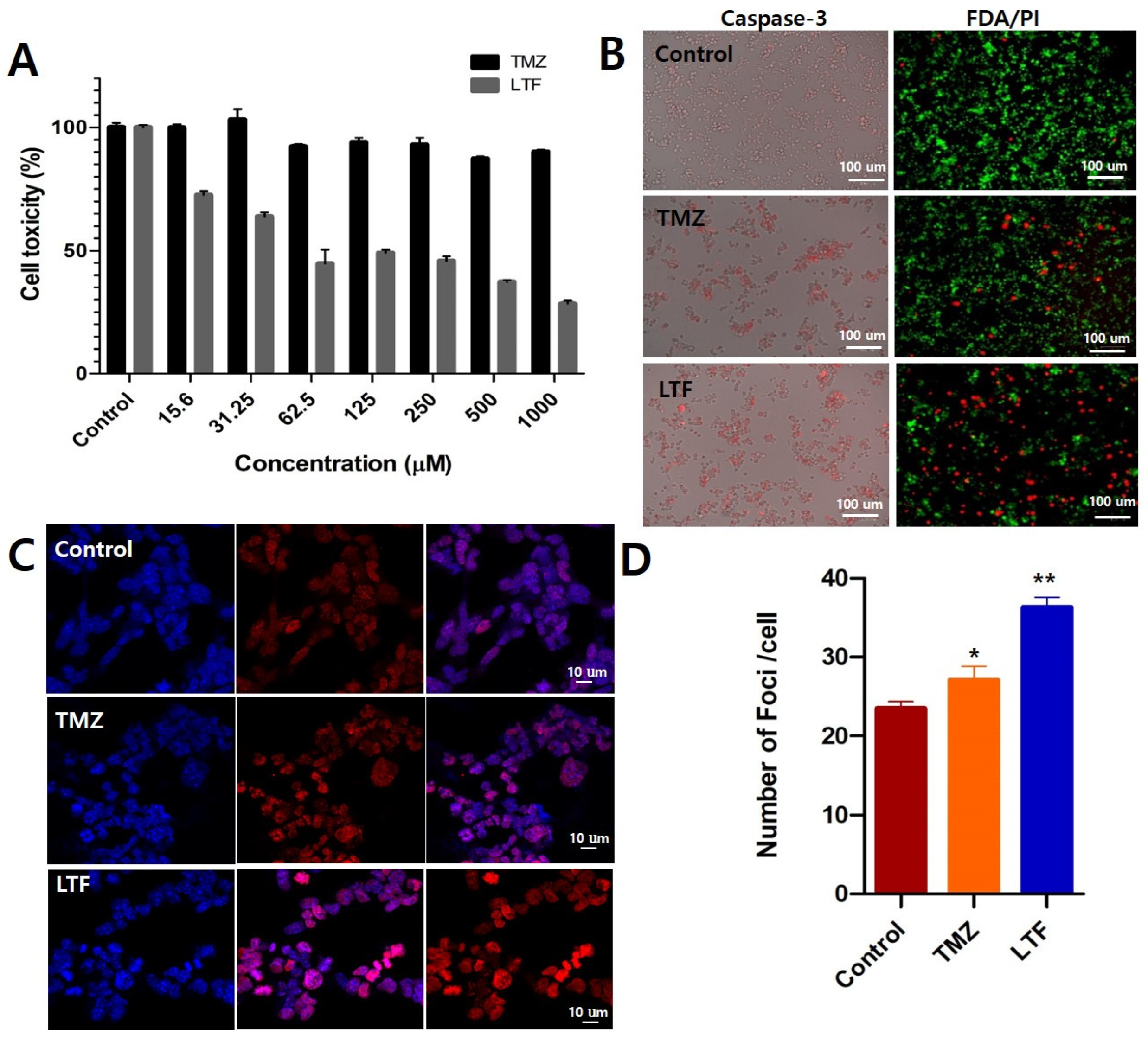 Nanomaterials 14 00939 g003