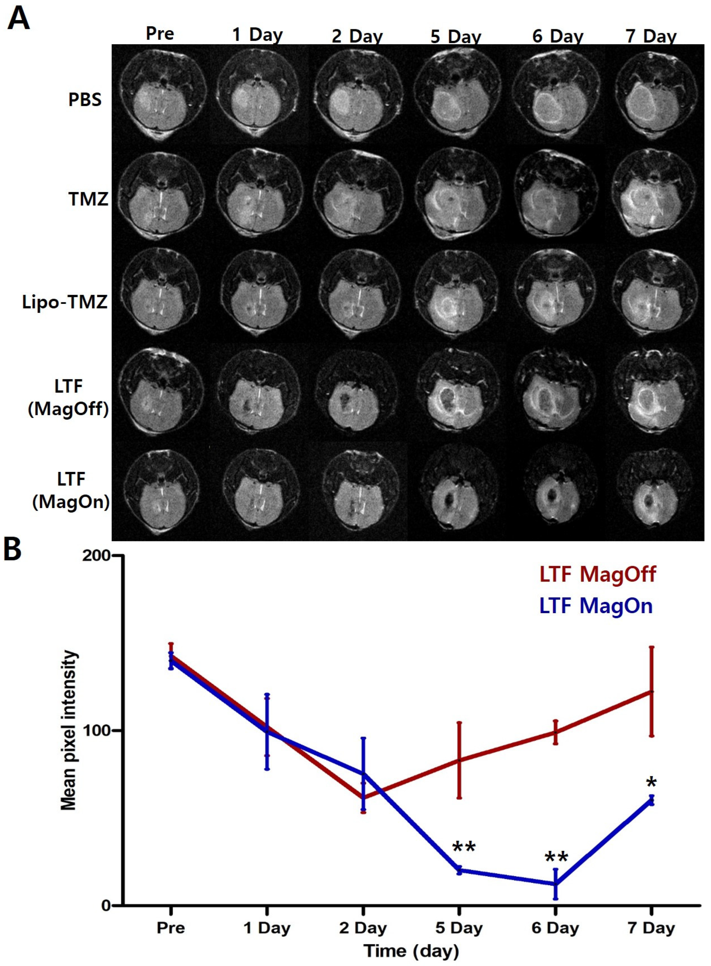 Nanomaterials 14 00939 g004