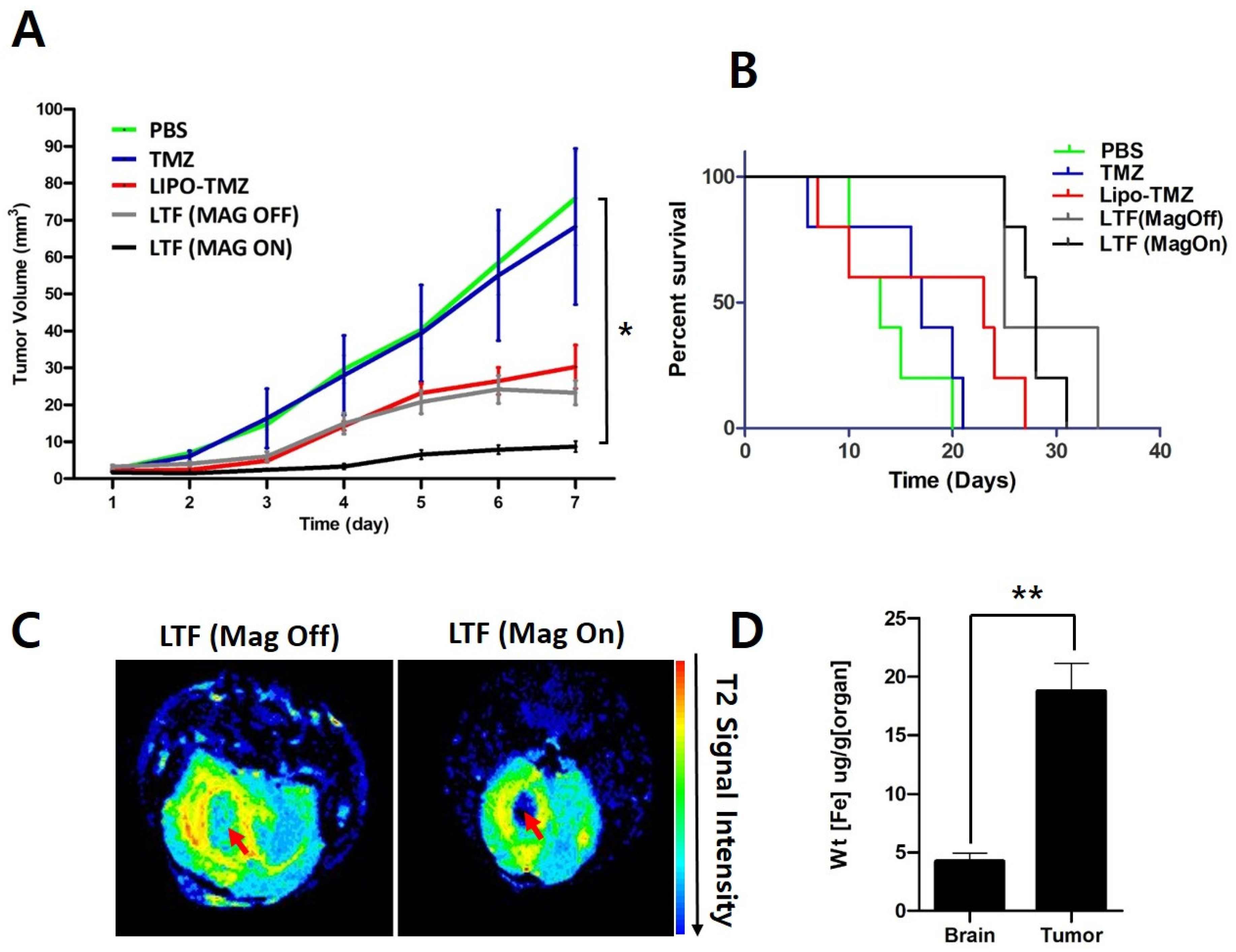 Nanomaterials 14 00939 g005