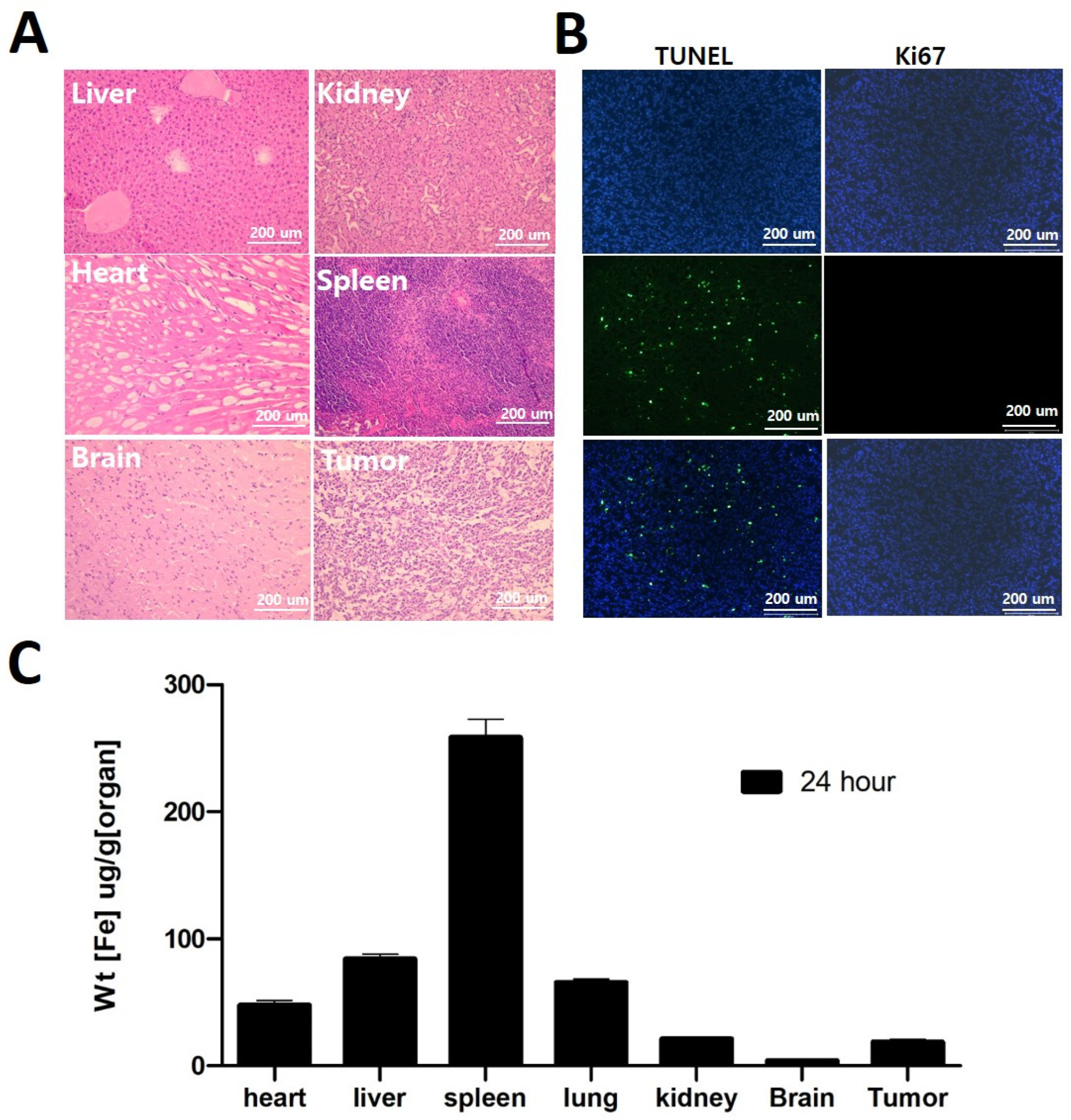 Nanomaterials 14 00939 g006