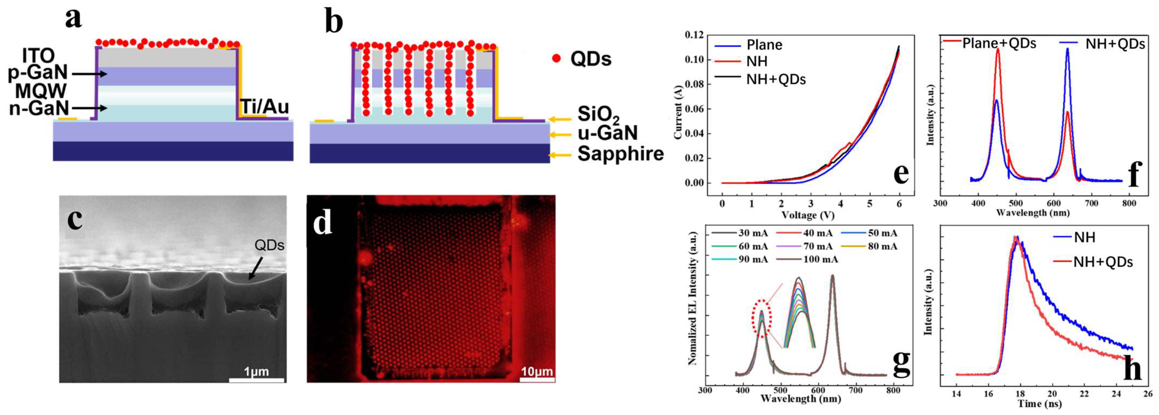 Nanomaterials 14 00940 g010