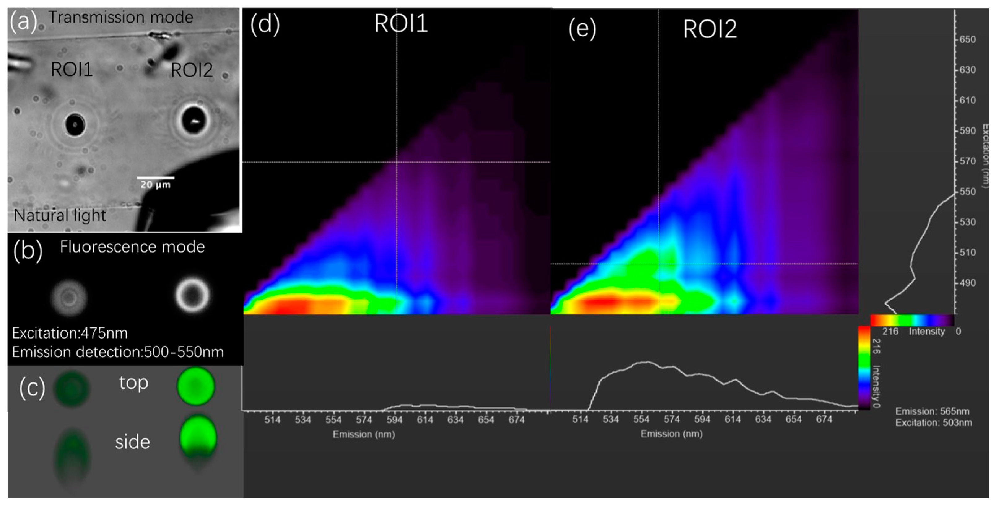 Nanomaterials 14 00941 g002