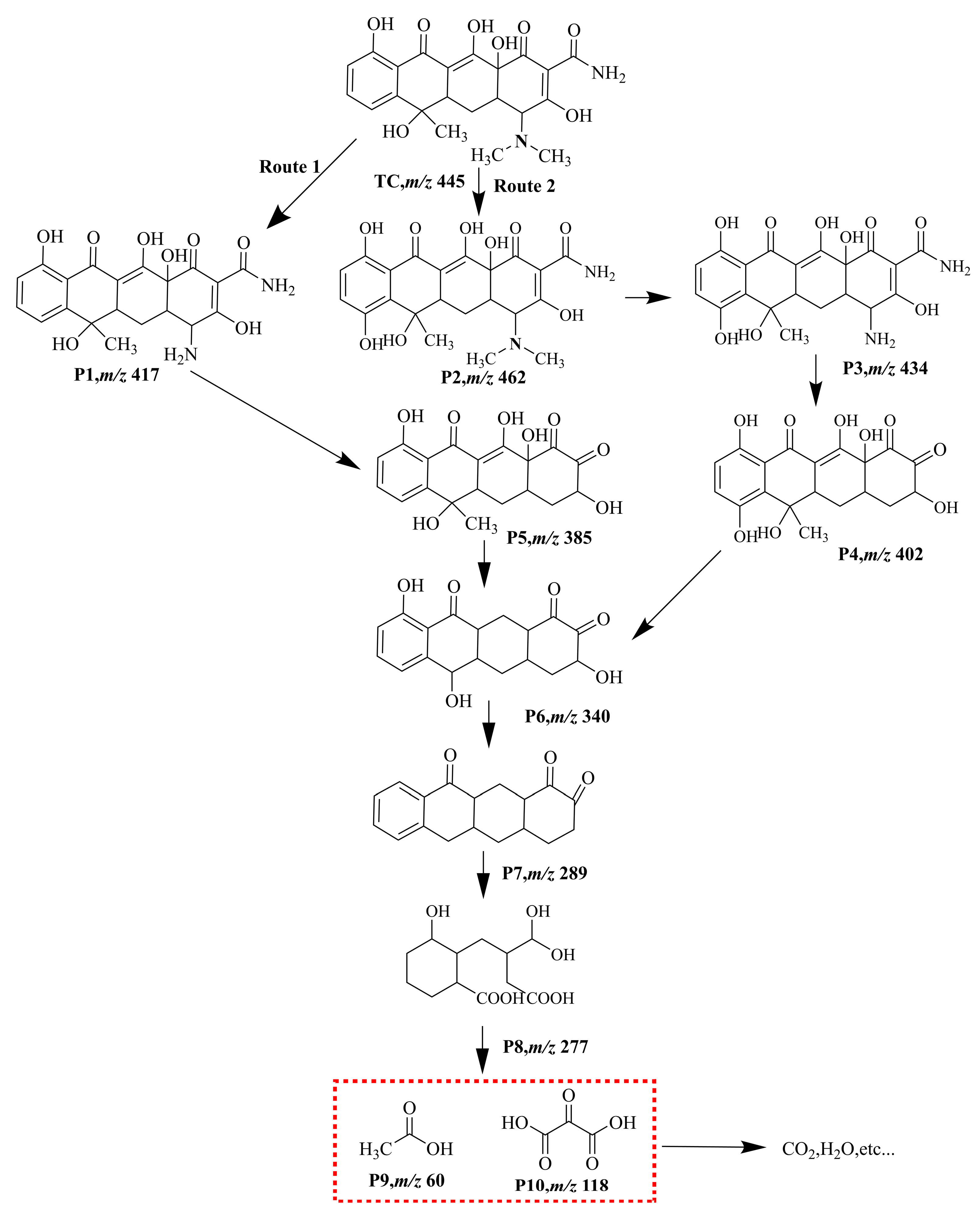 Nanomaterials 14 00943 g013