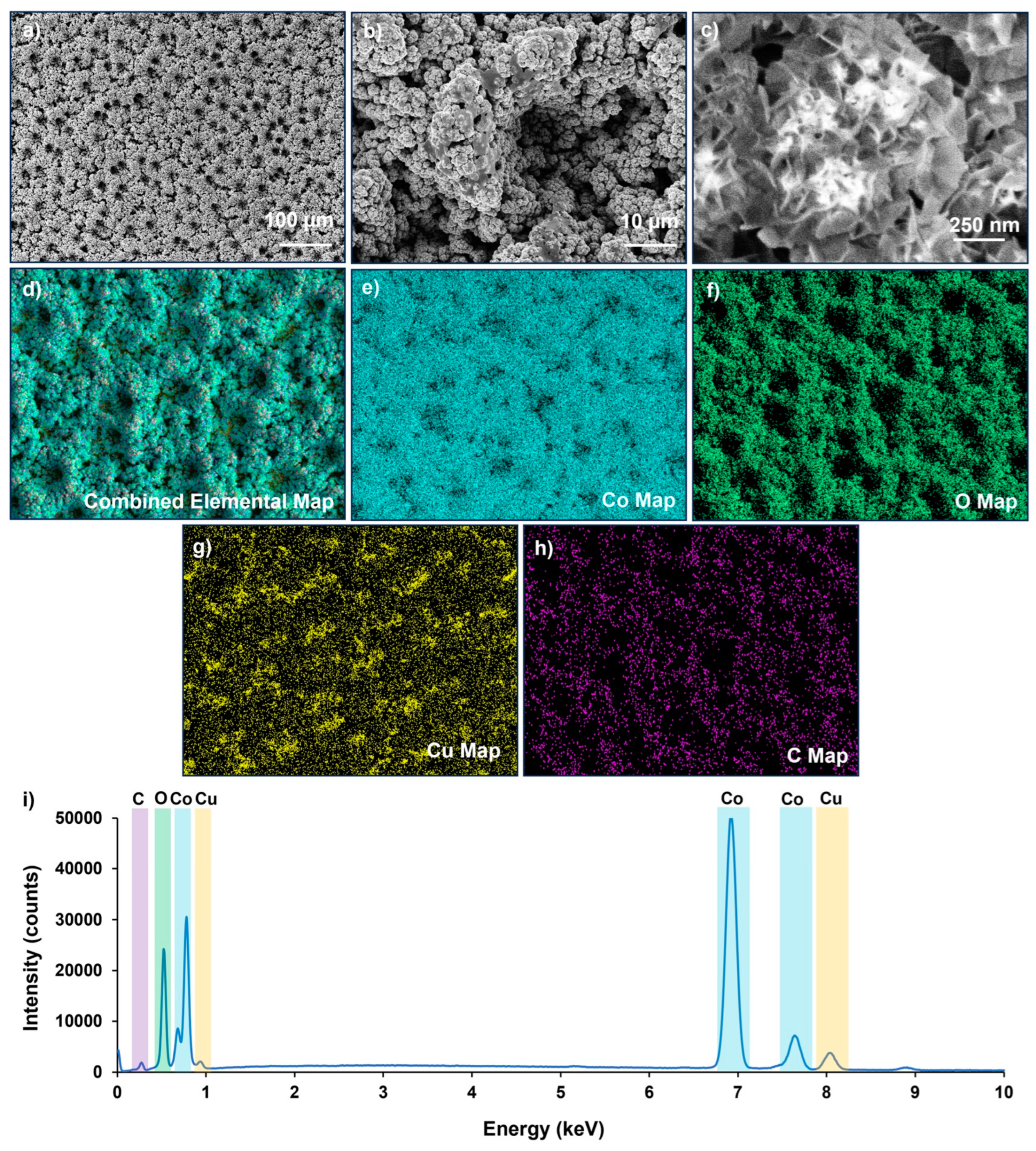 Nanomaterials 14 00946 g001