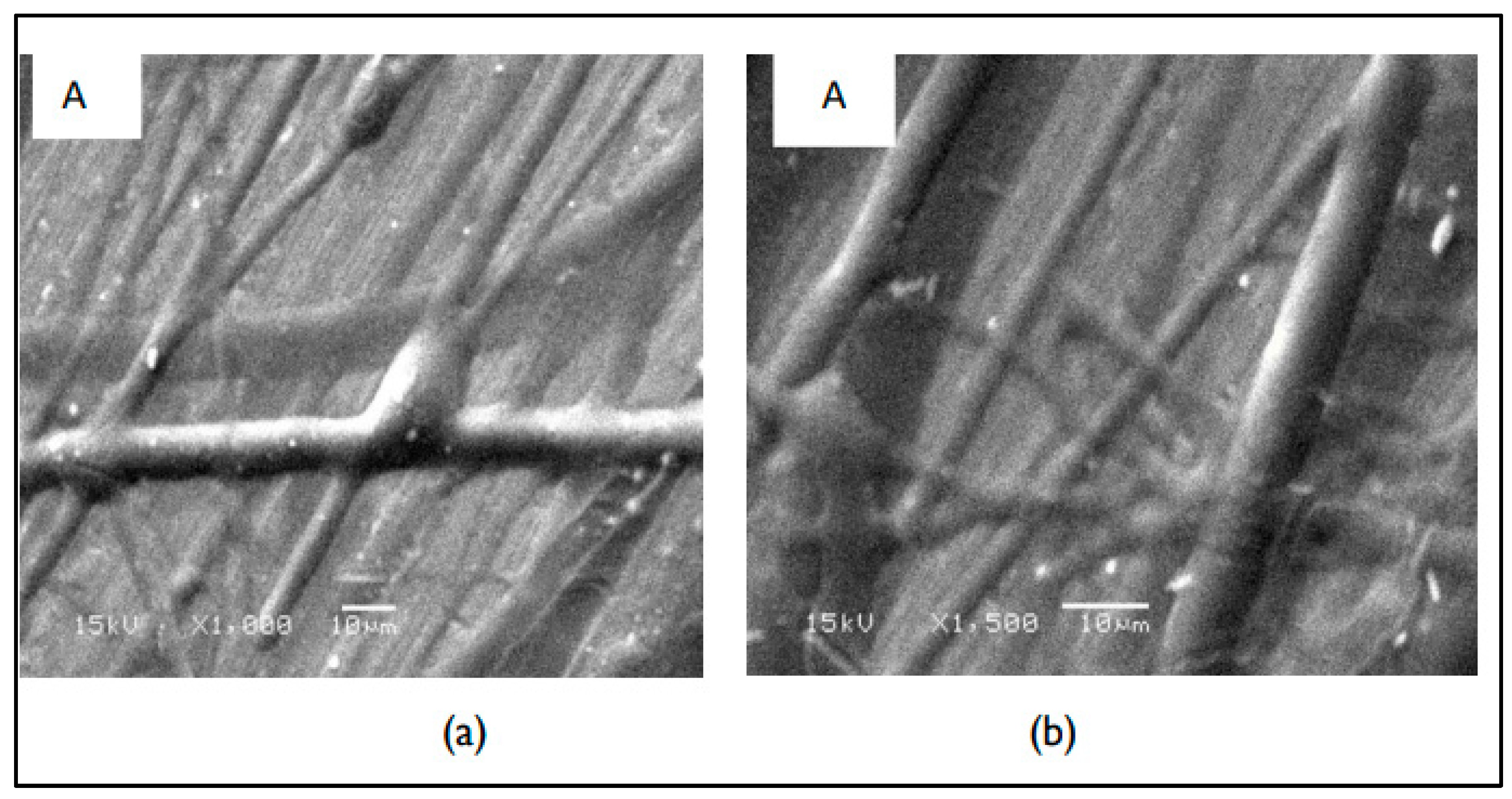 Nanomaterials 14 00952 g003