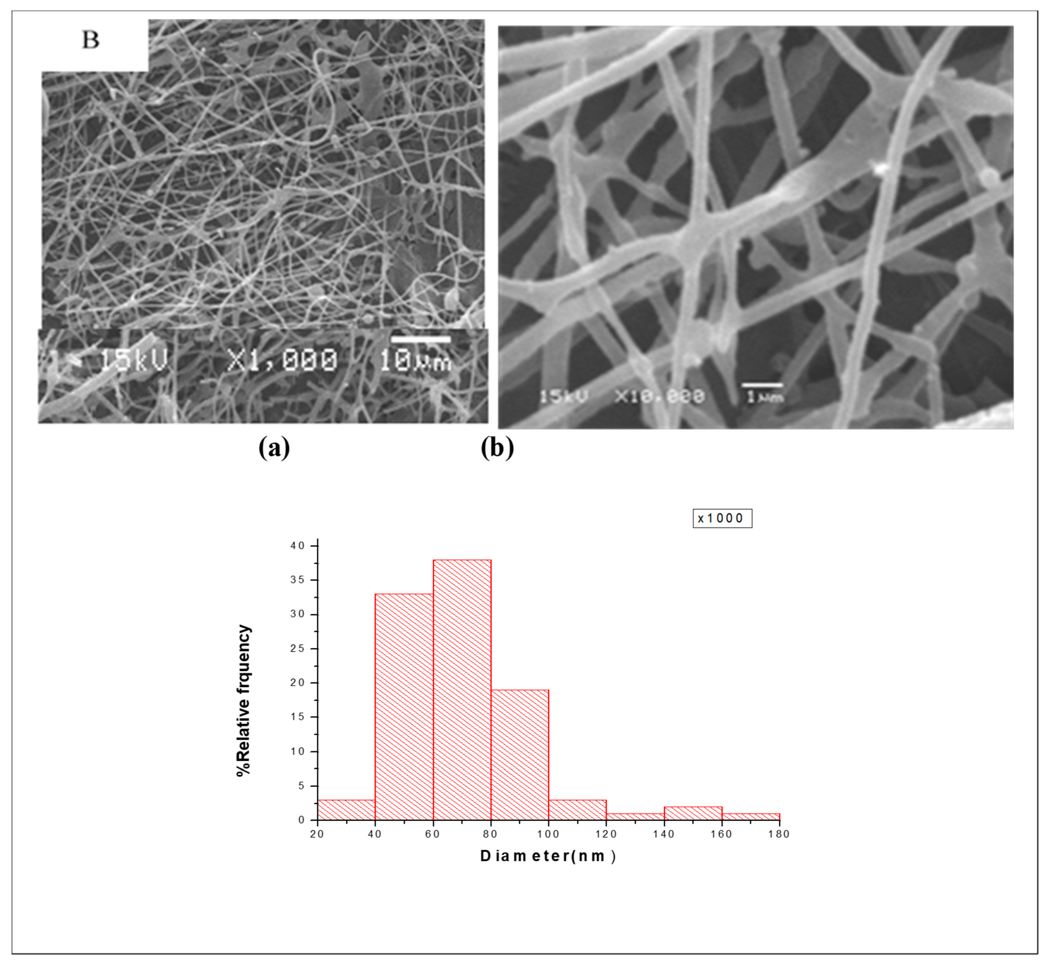 Nanomaterials 14 00952 g004