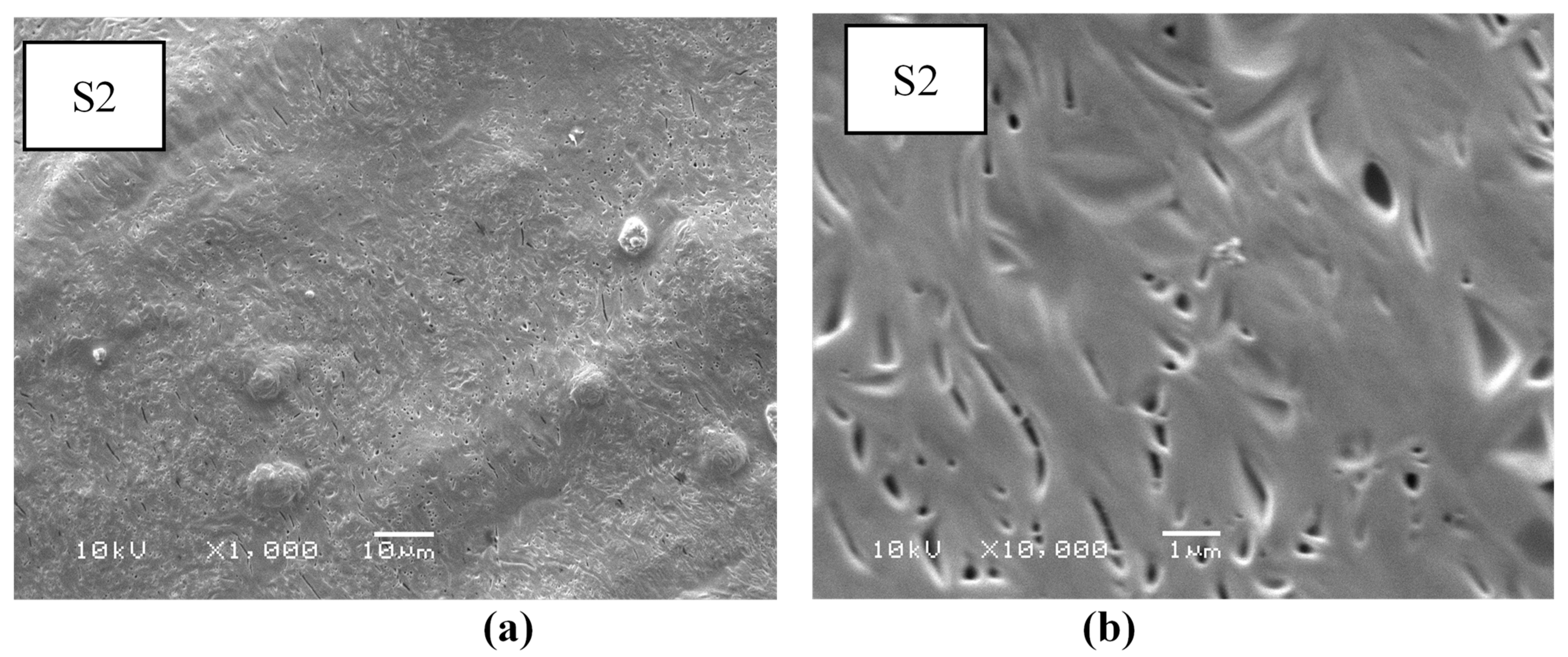 Nanomaterials 14 00952 g007