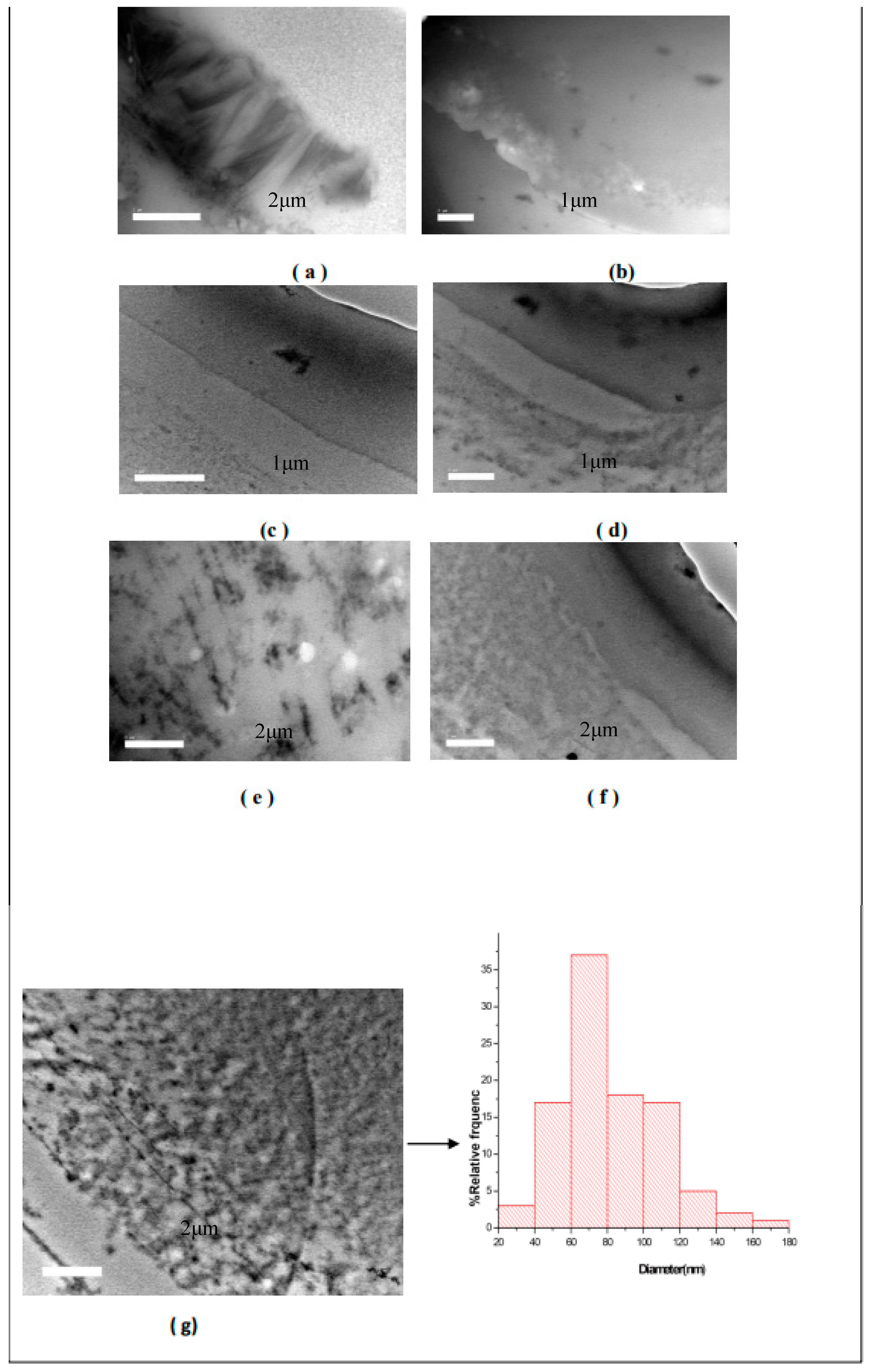 Nanomaterials 14 00952 g008