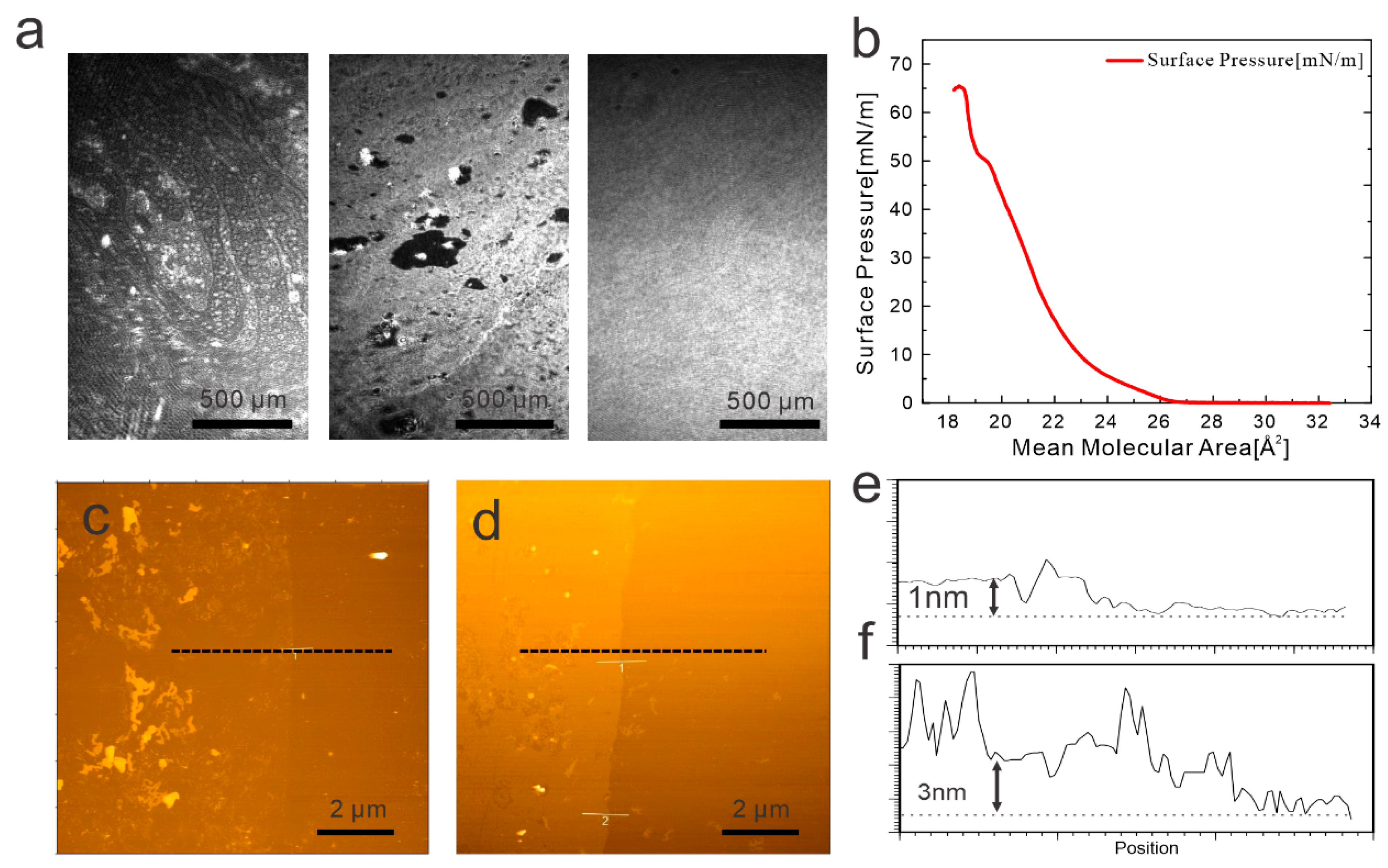 Nanomaterials 14 00972 g002