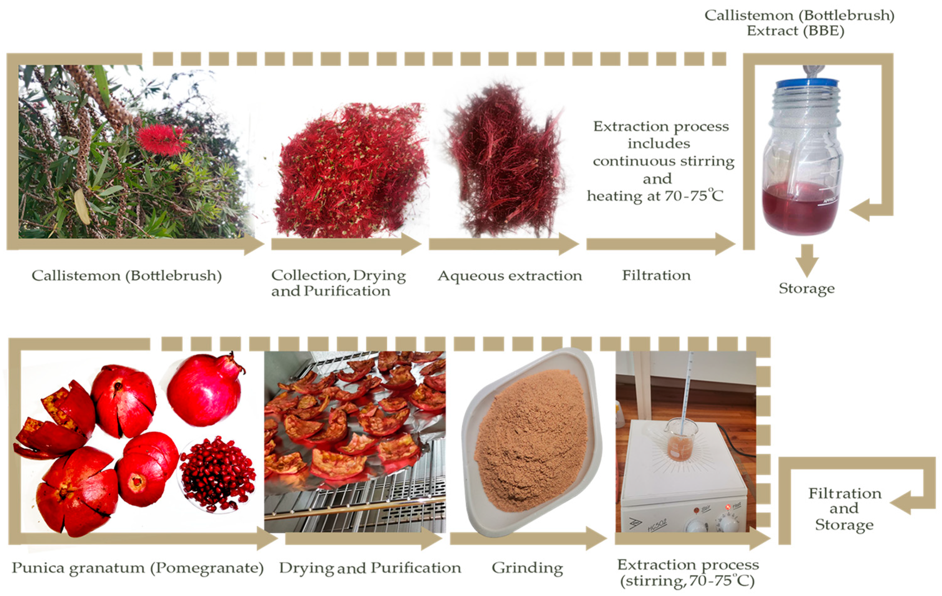 Nanomaterials 14 00974 g001