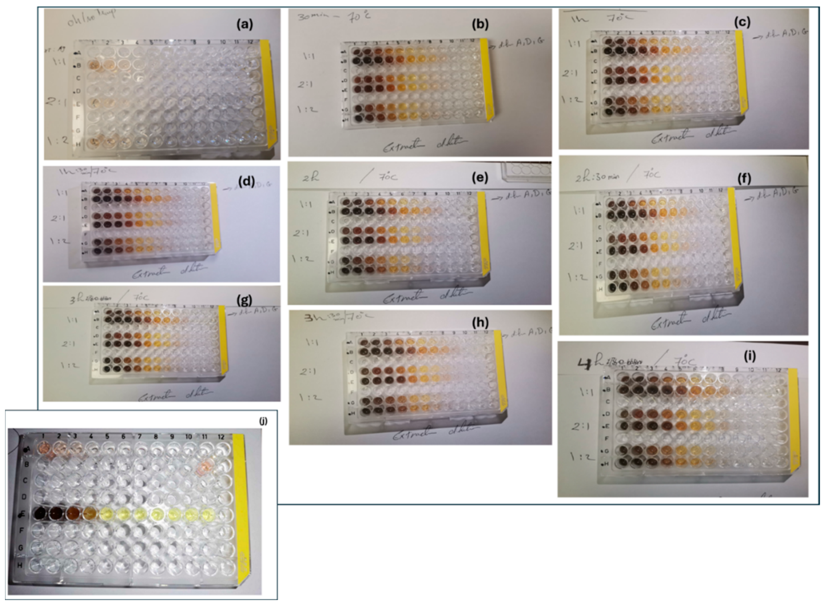 Nanomaterials 14 00974 g002