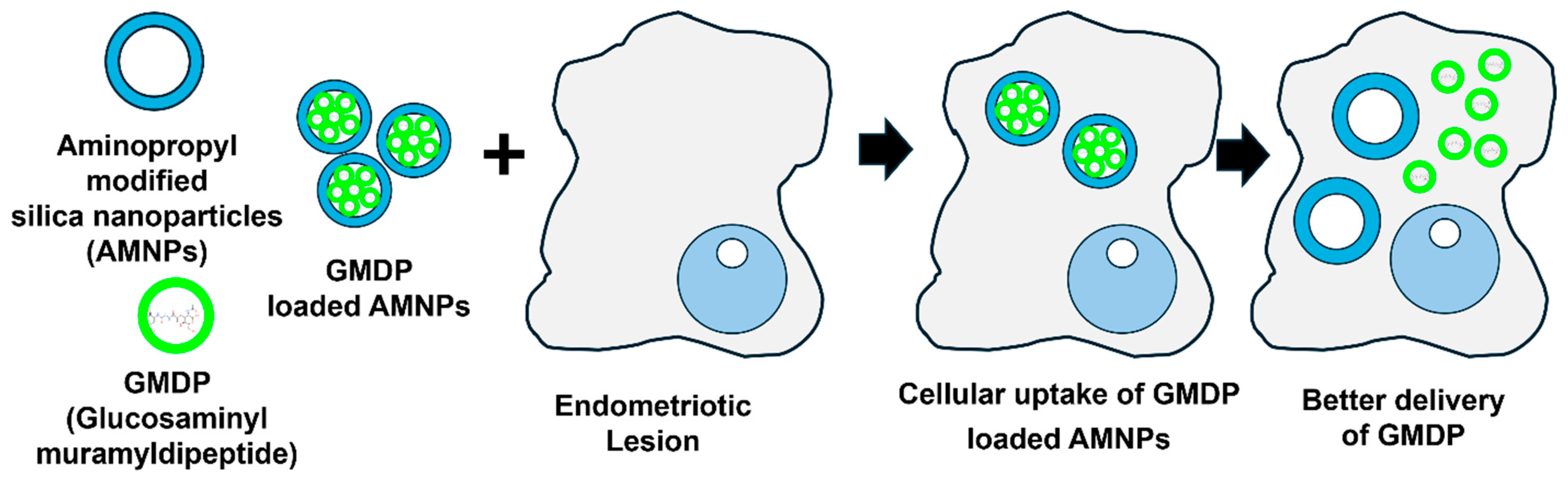 Nanomaterials 14 00976 g003