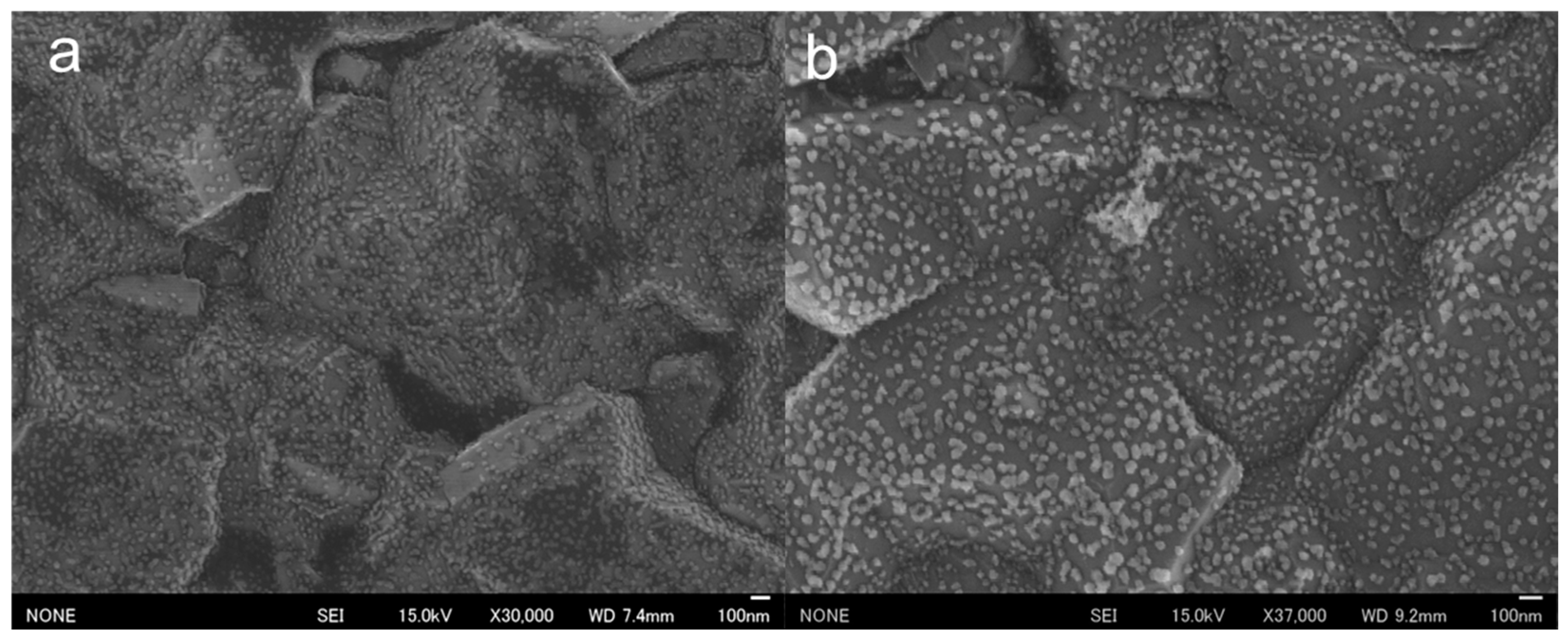 Nanomaterials 14 00981 g002