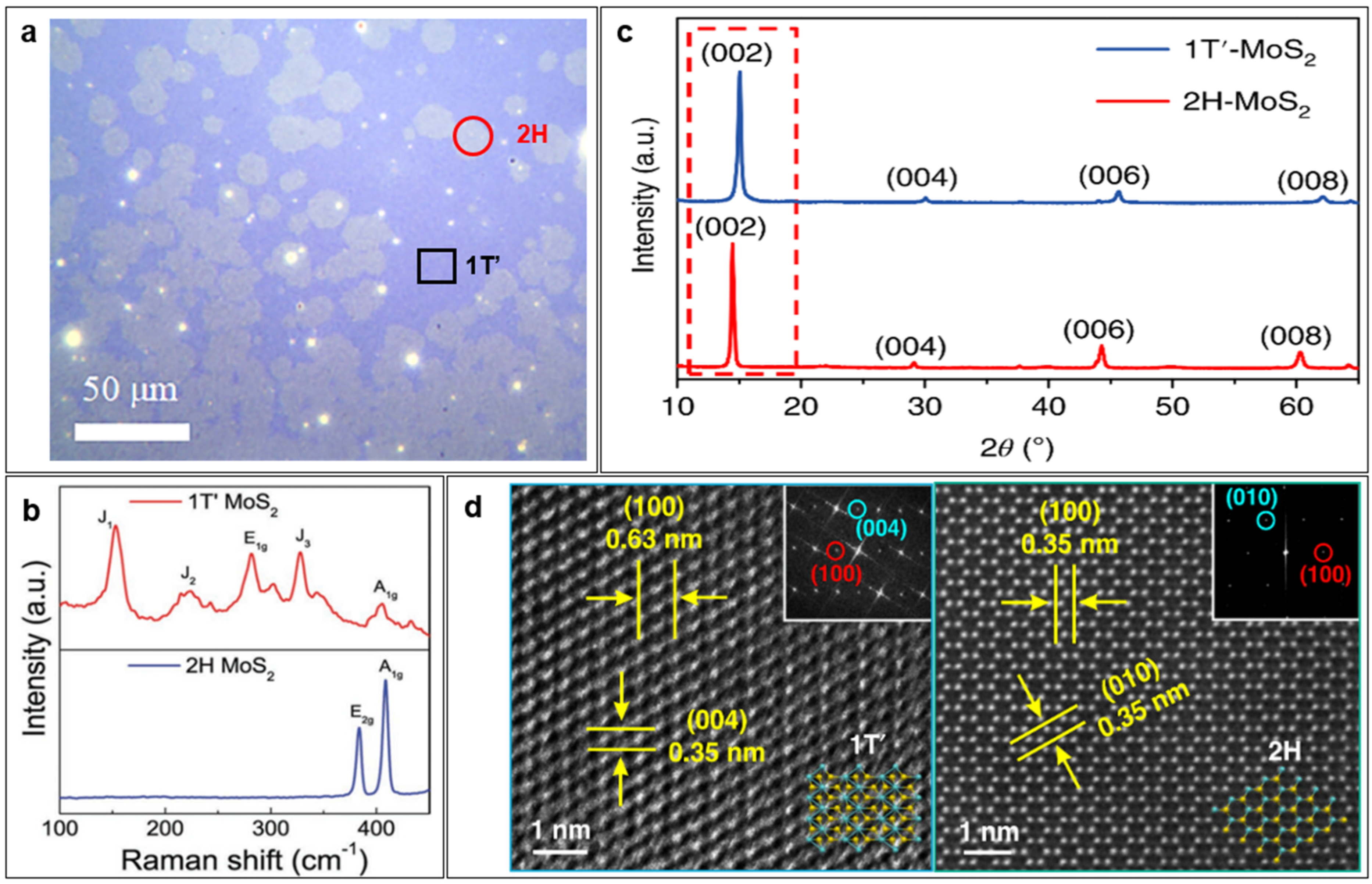Nanomaterials 14 00984 g003