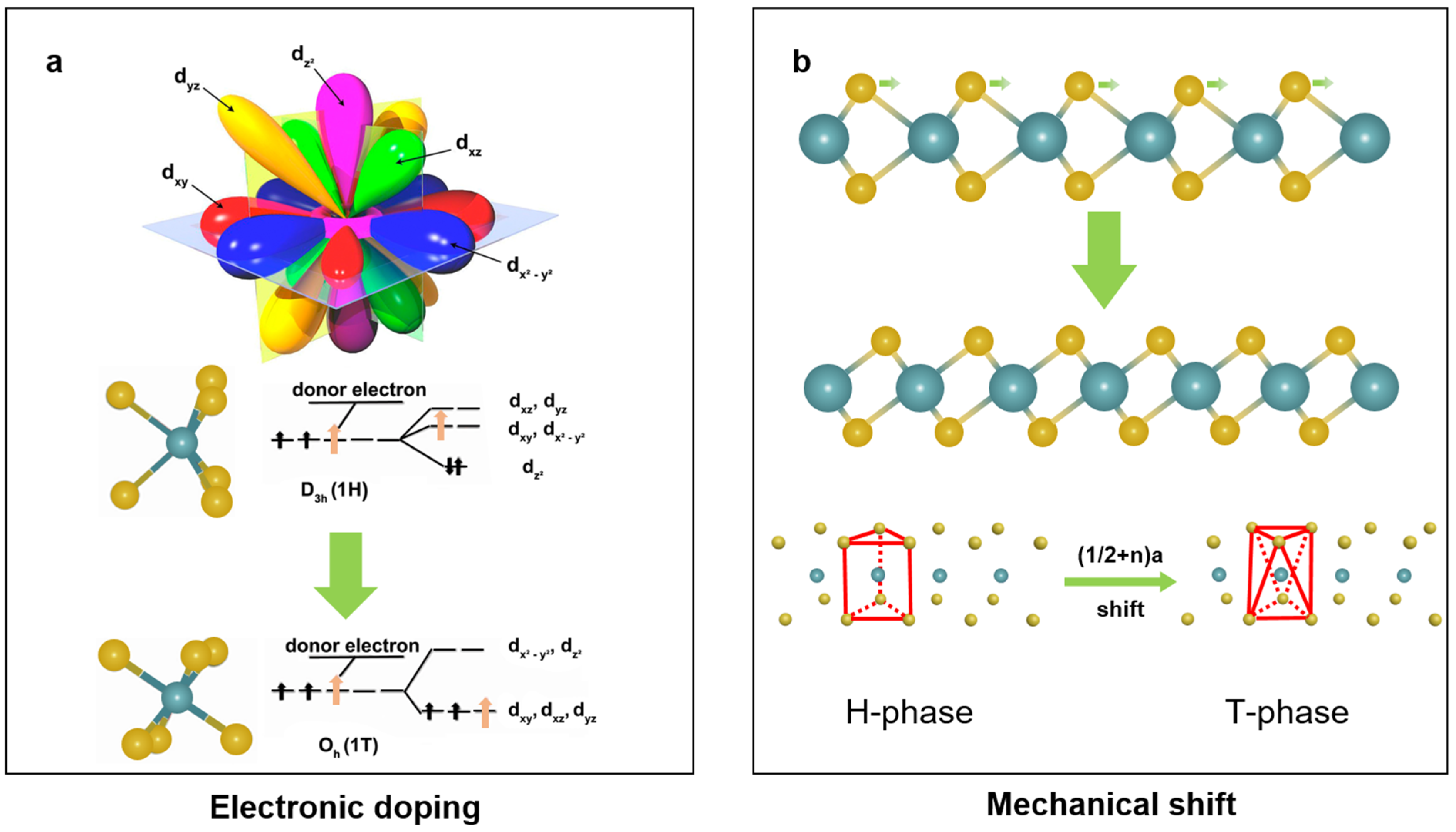 Nanomaterials 14 00984 g004