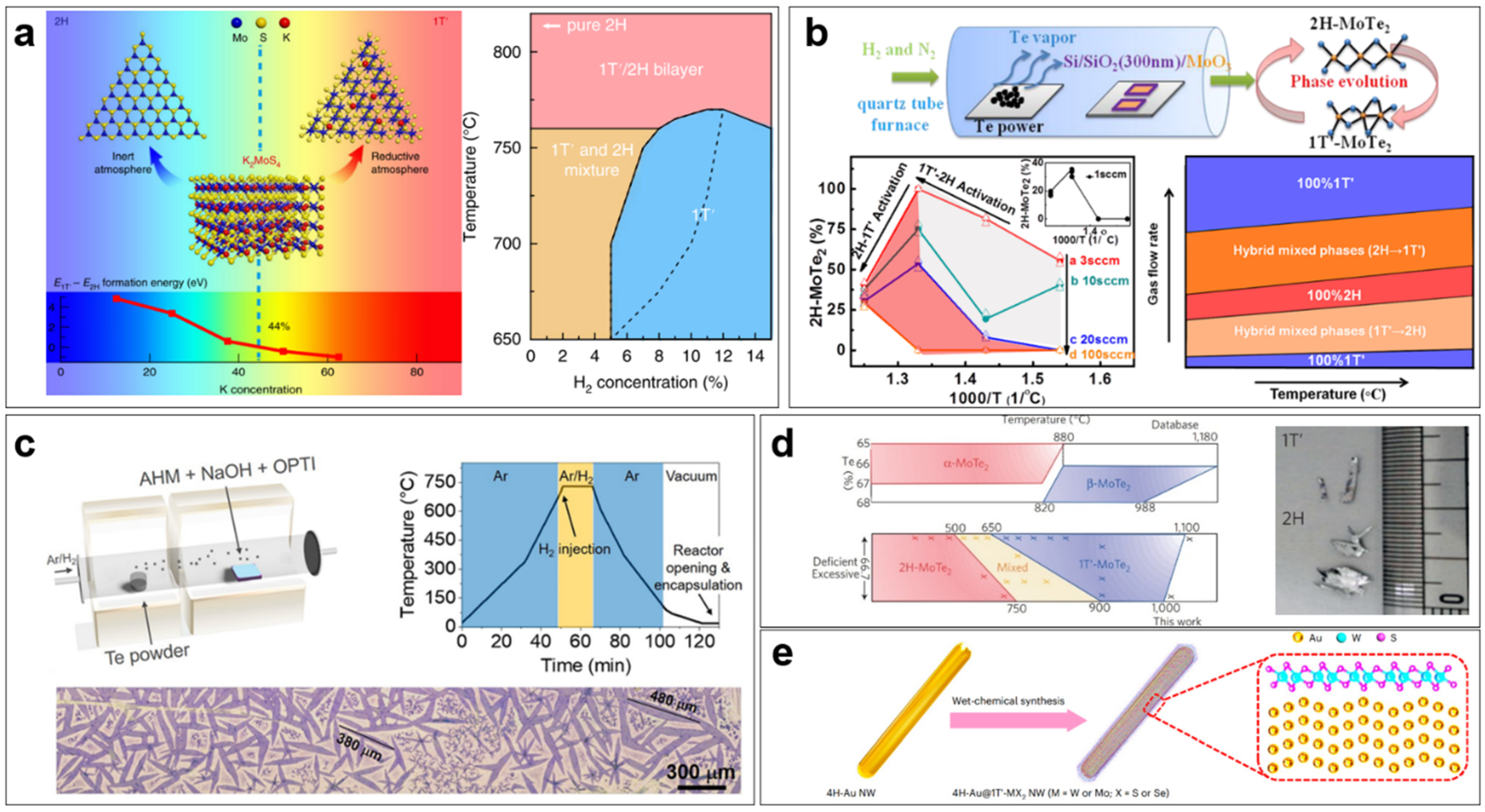 Nanomaterials 14 00984 g005
