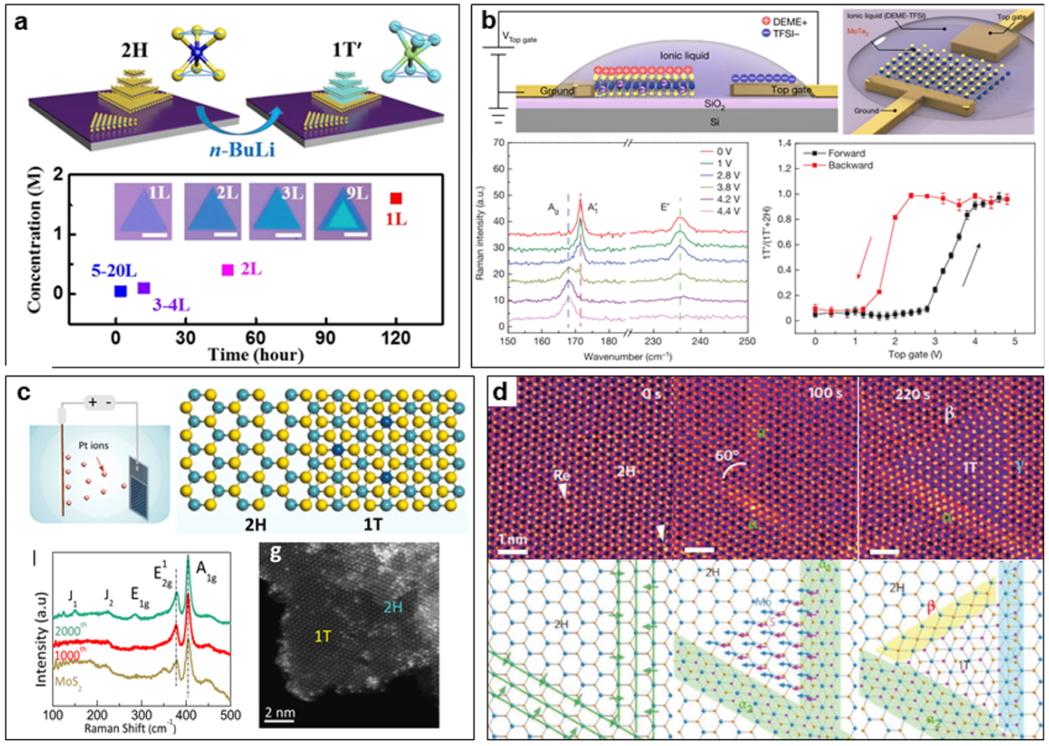 Nanomaterials 14 00984 g006