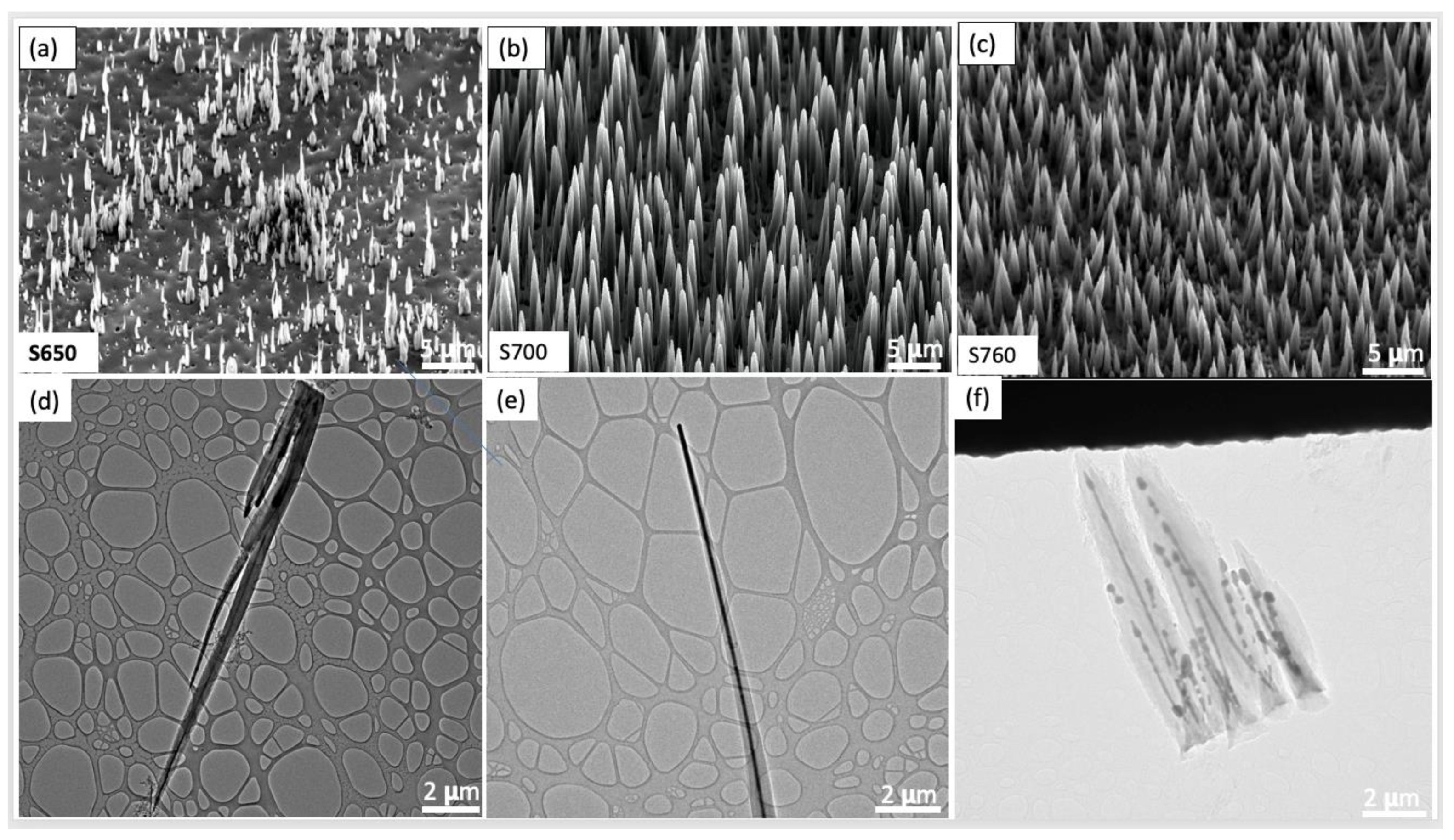 Nanomaterials 14 00988 g001