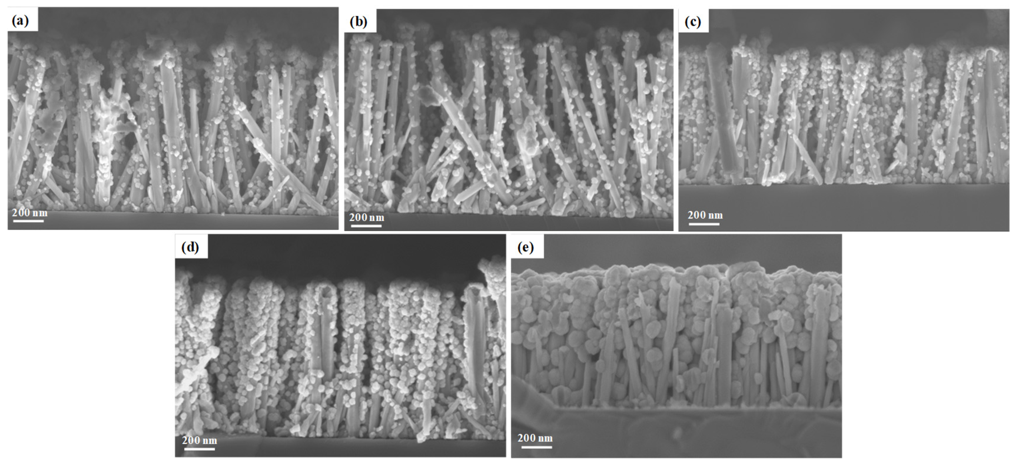 Nanomaterials 14 00991 g005