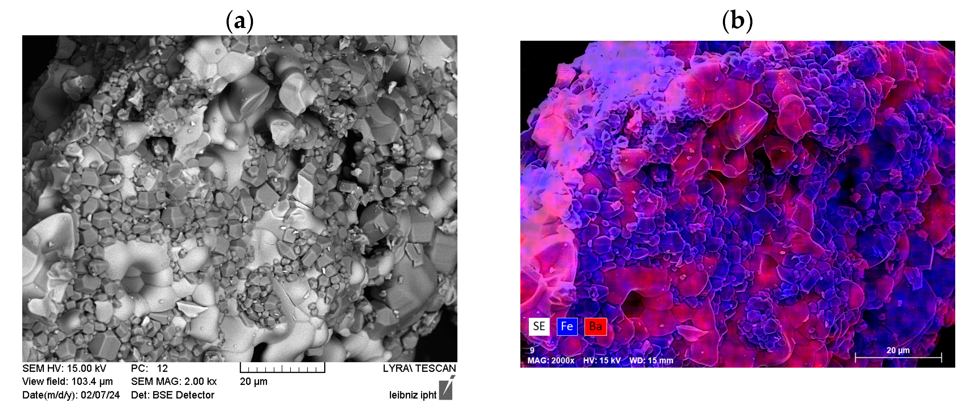 Nanomaterials 14 00992 g010