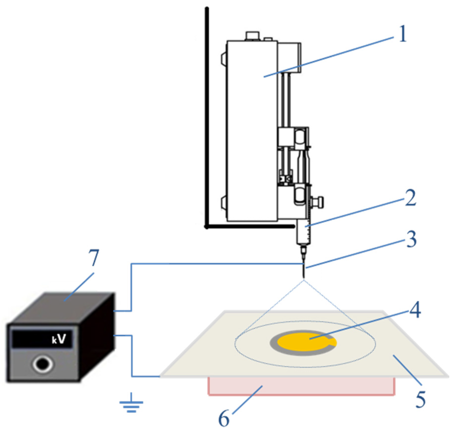 Nanomaterials 14 01008 g001