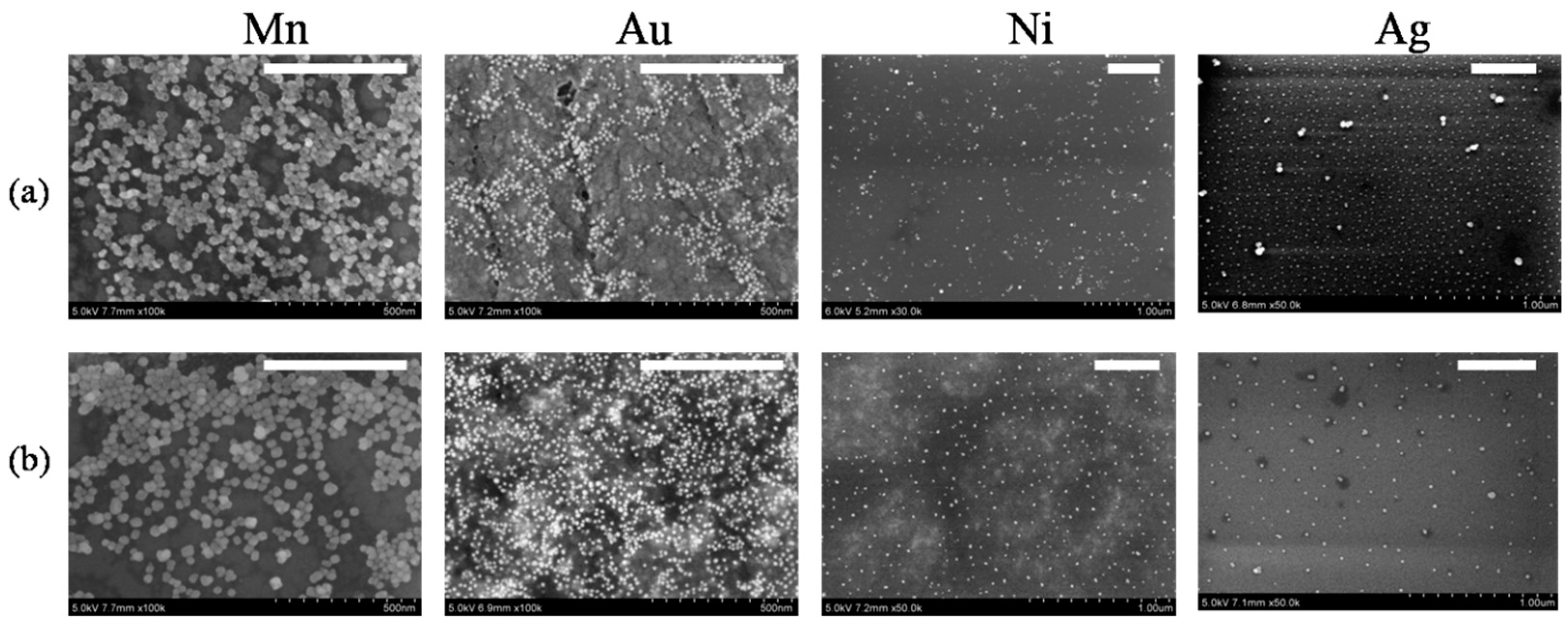 Nanomaterials 14 01010 g001