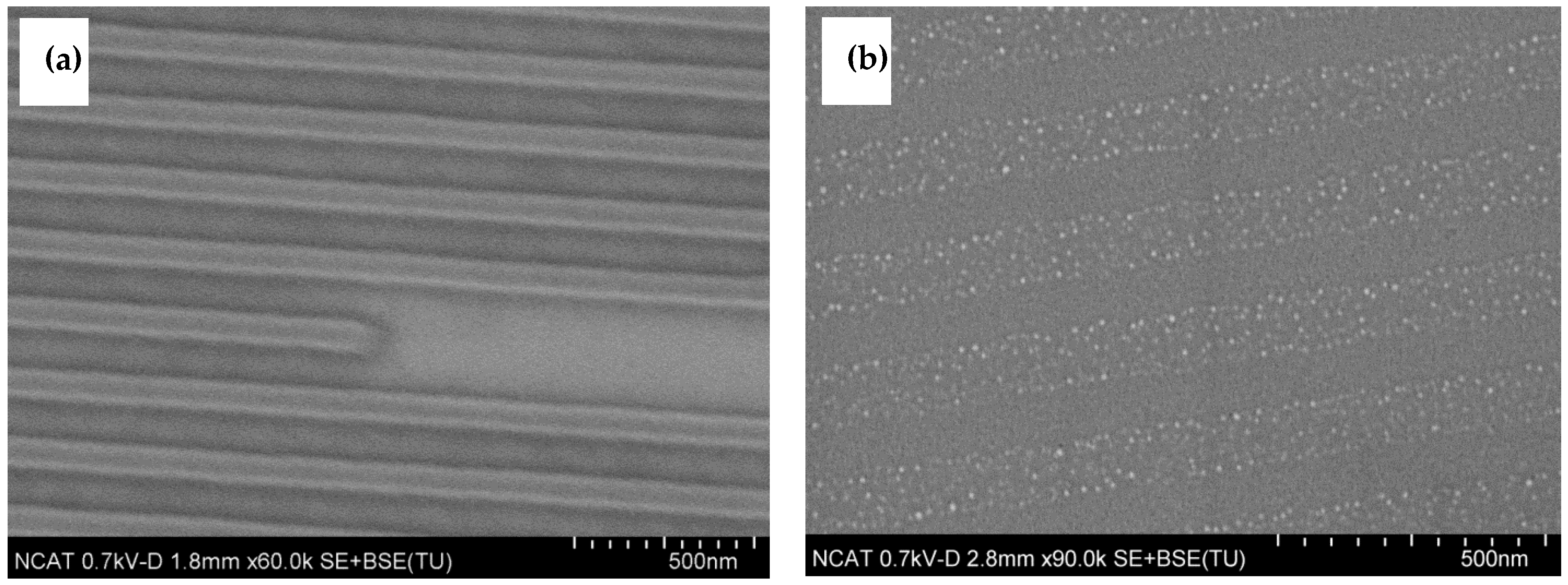 Nanomaterials 14 01011 g002
