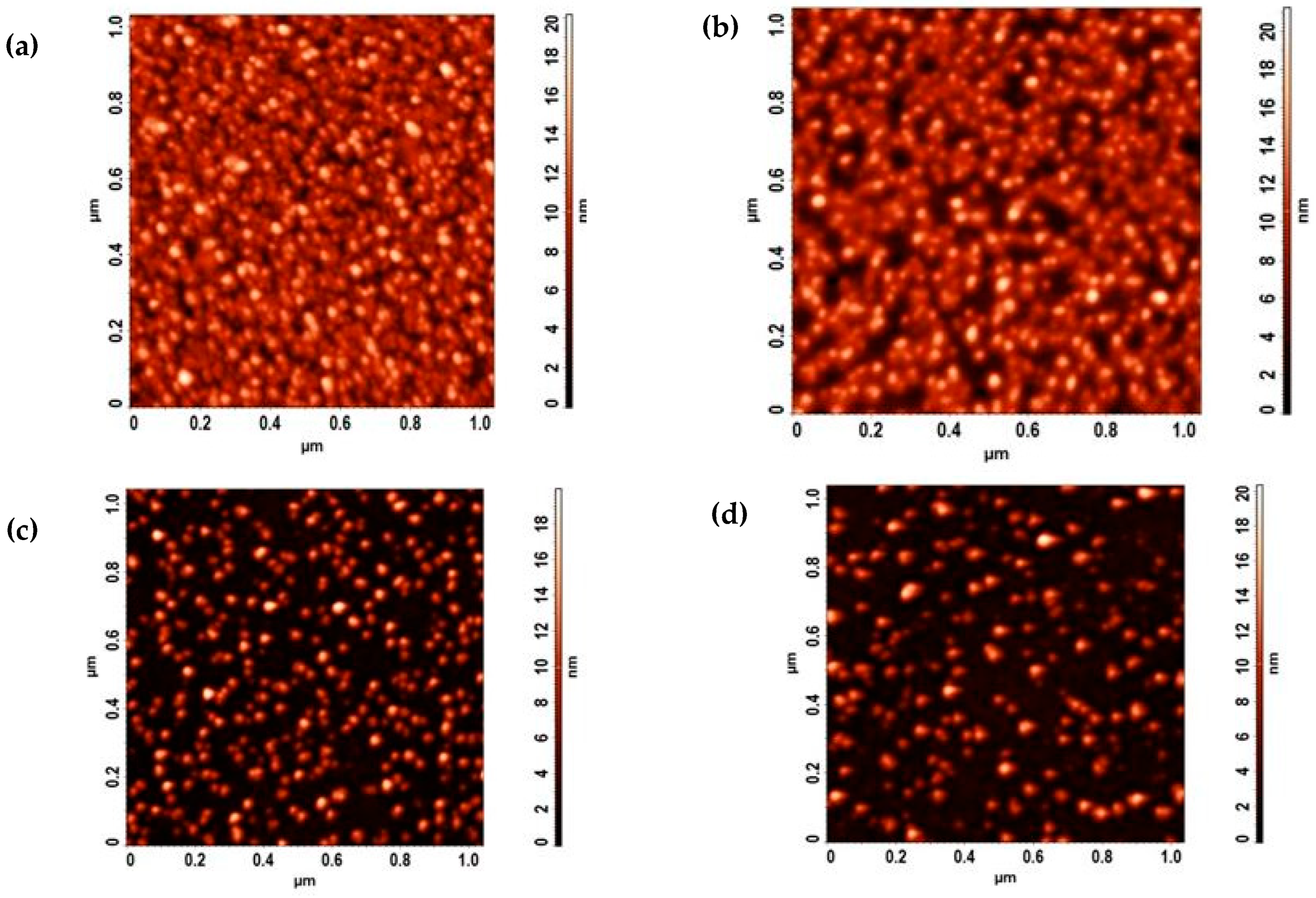 Nanomaterials 14 01011 g006