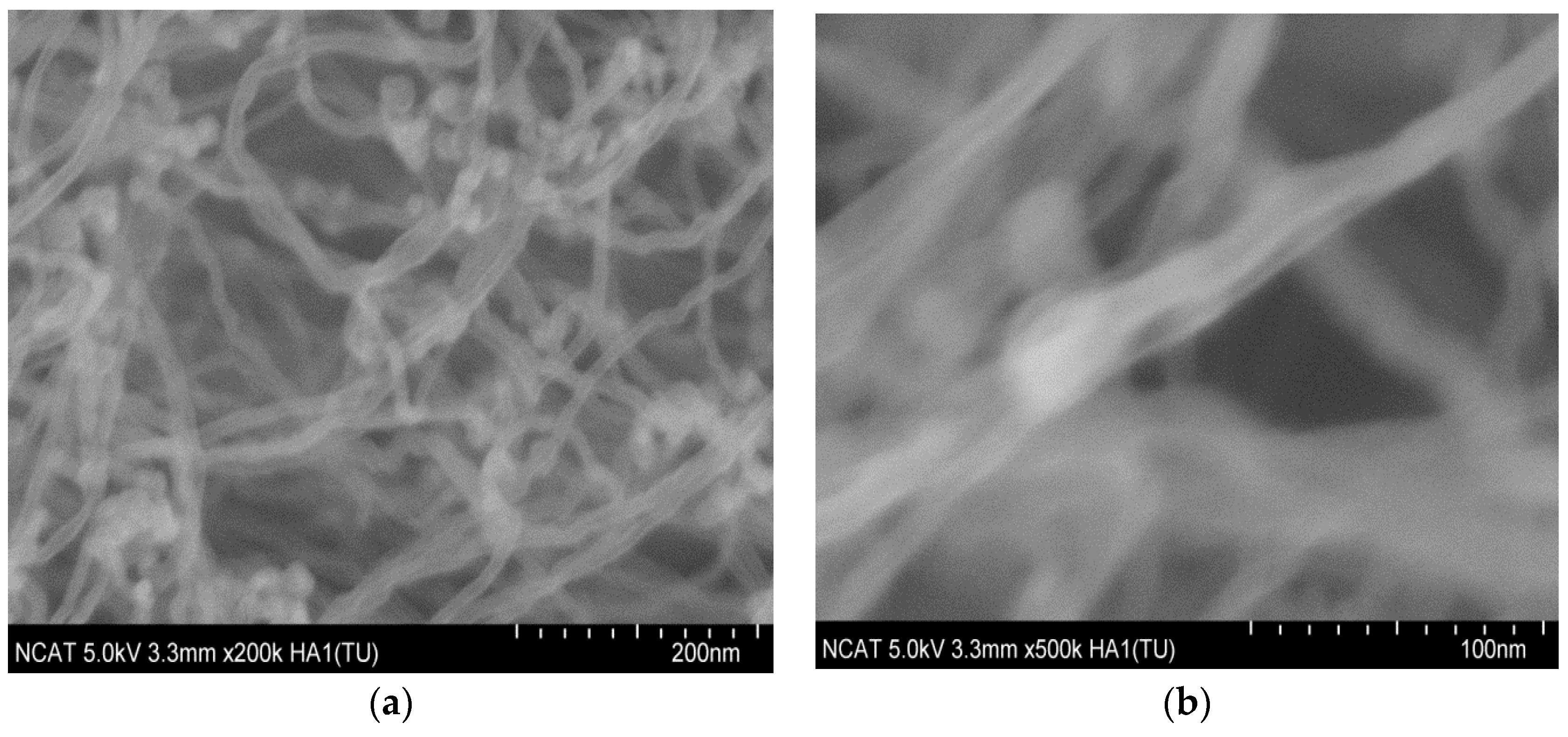 Nanomaterials 14 01011 g016