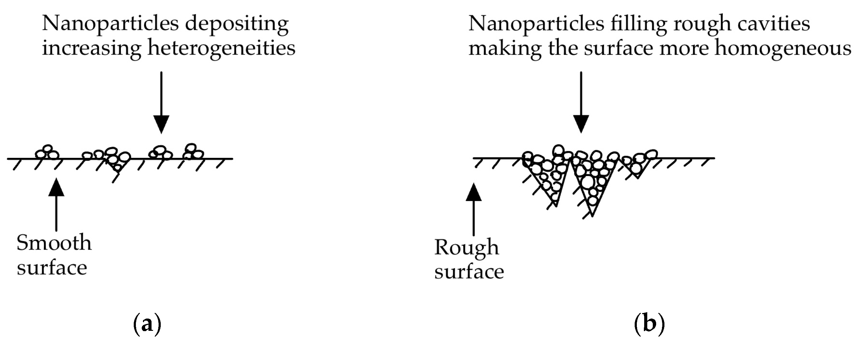 Nanomaterials 14 01012 g002