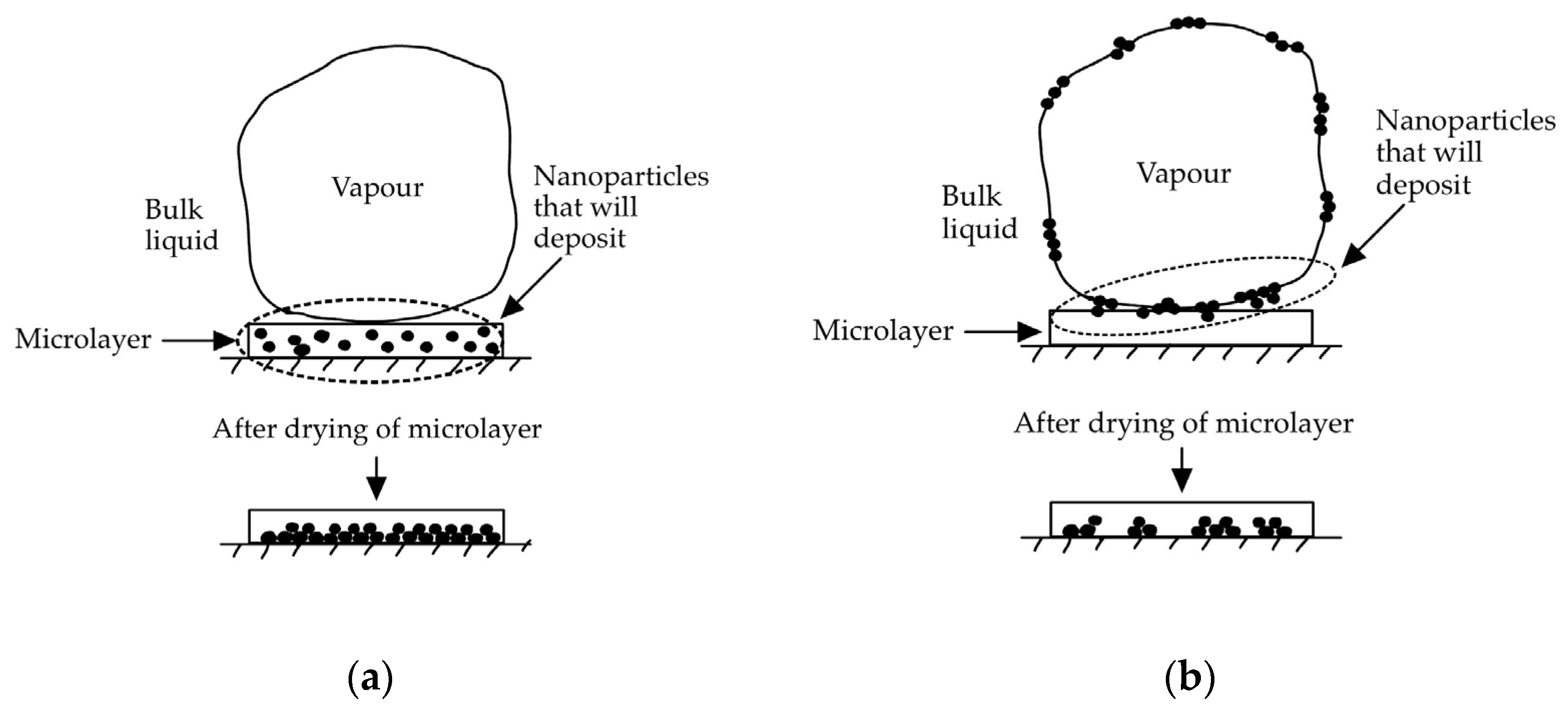 Nanomaterials 14 01012 g003