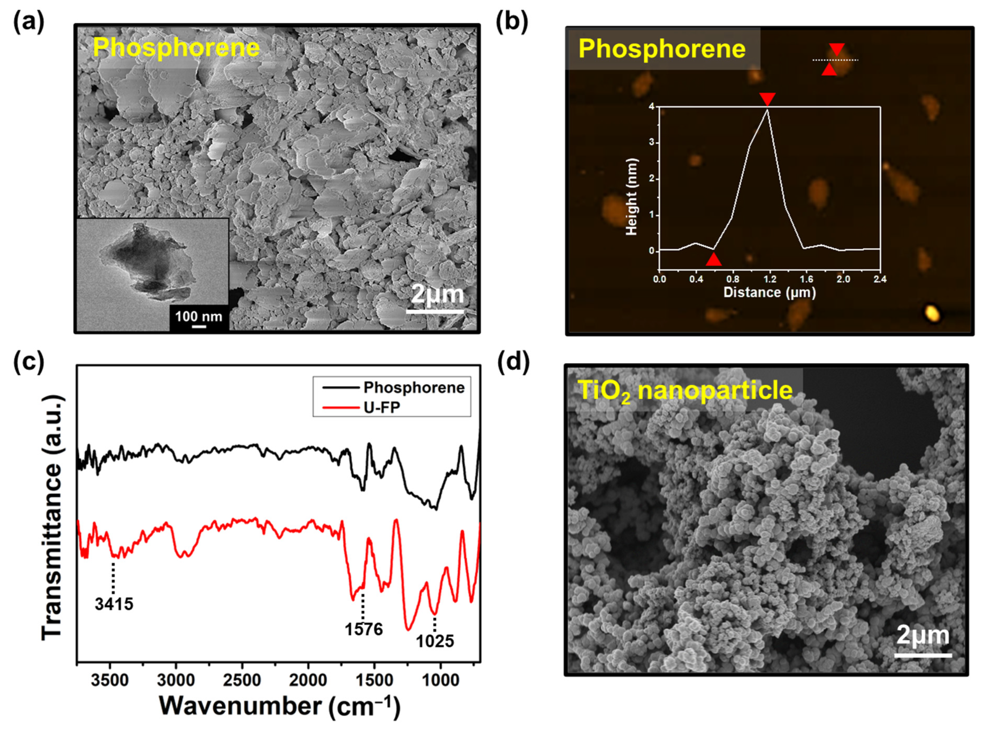 Nanomaterials 14 01013 g002