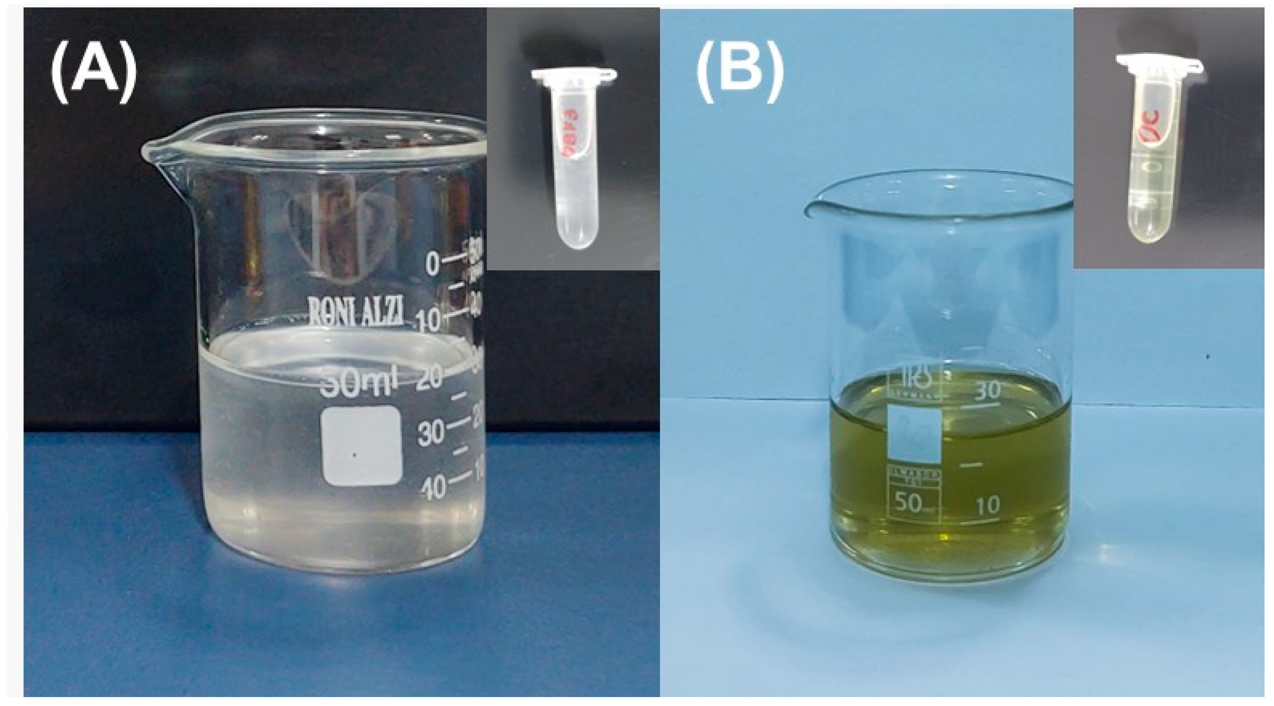 Nanomaterials 14 01014 g001