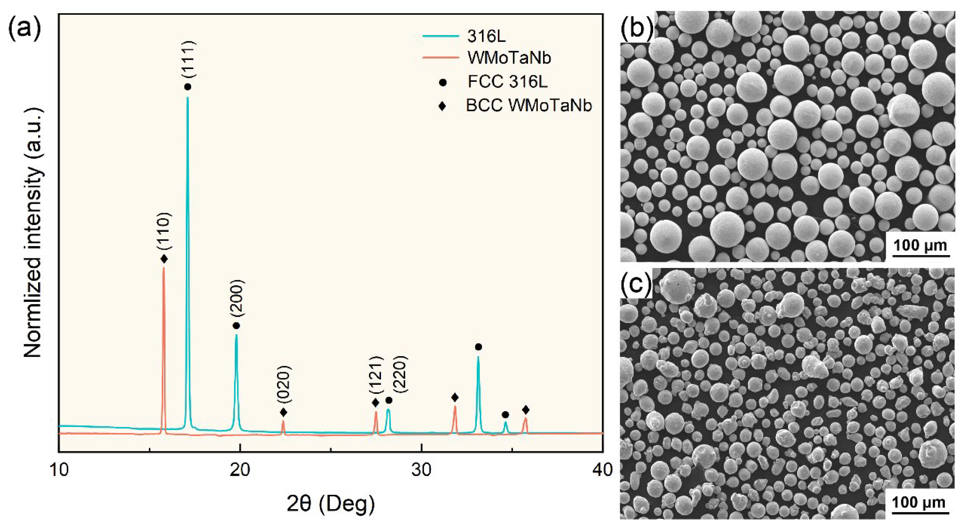 Nanomaterials 14 01016 g001