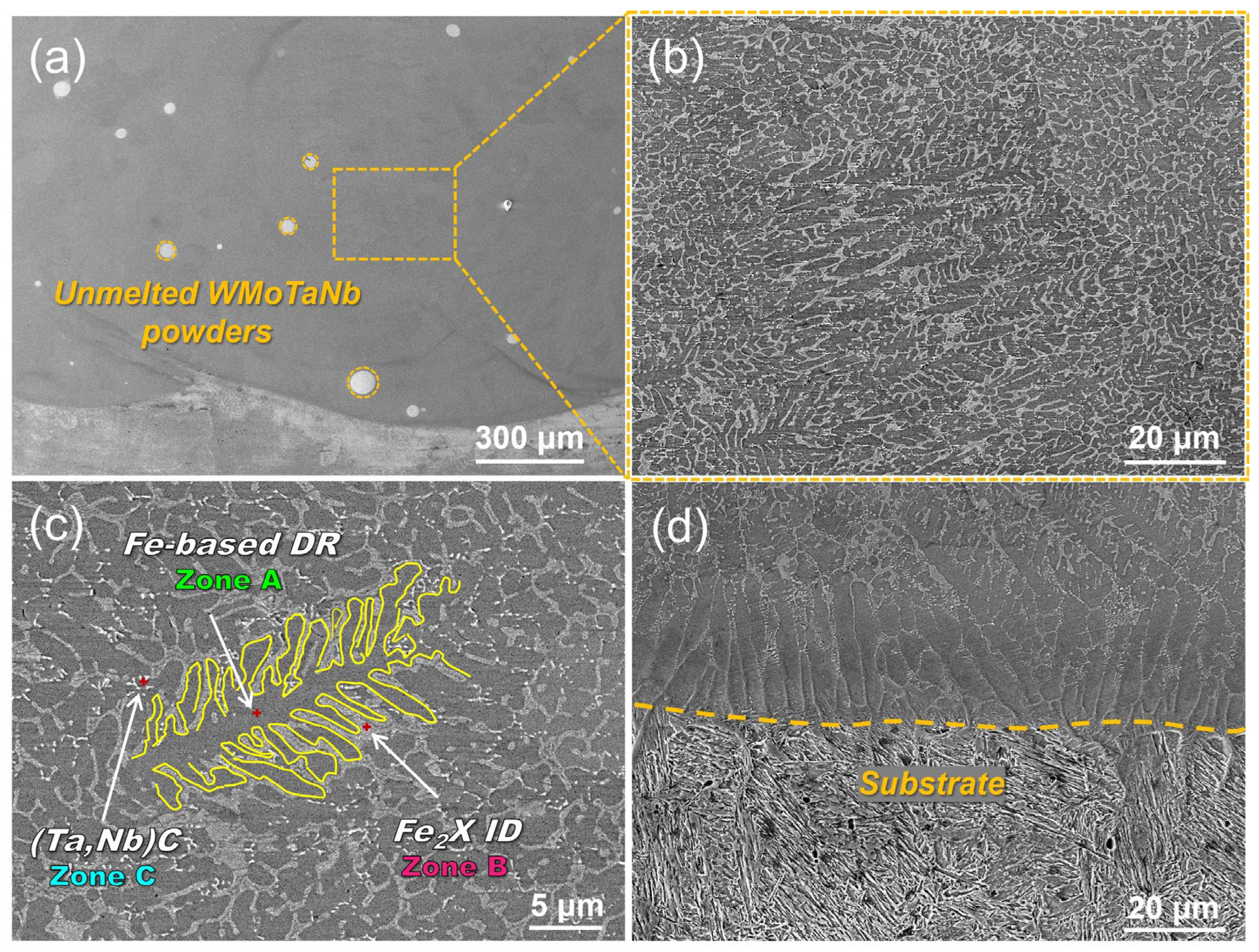 Nanomaterials 14 01016 g003