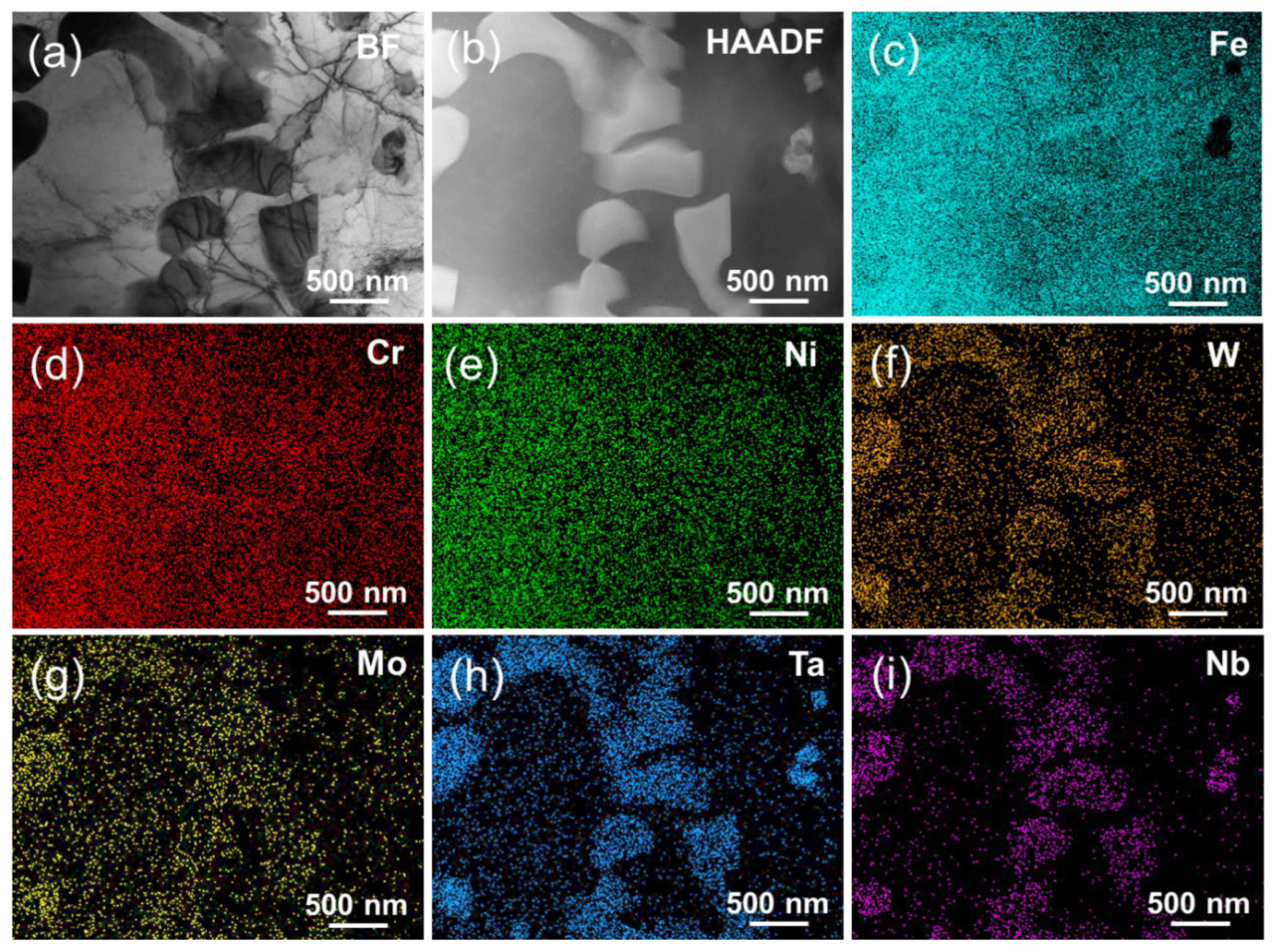 Nanomaterials 14 01016 g004