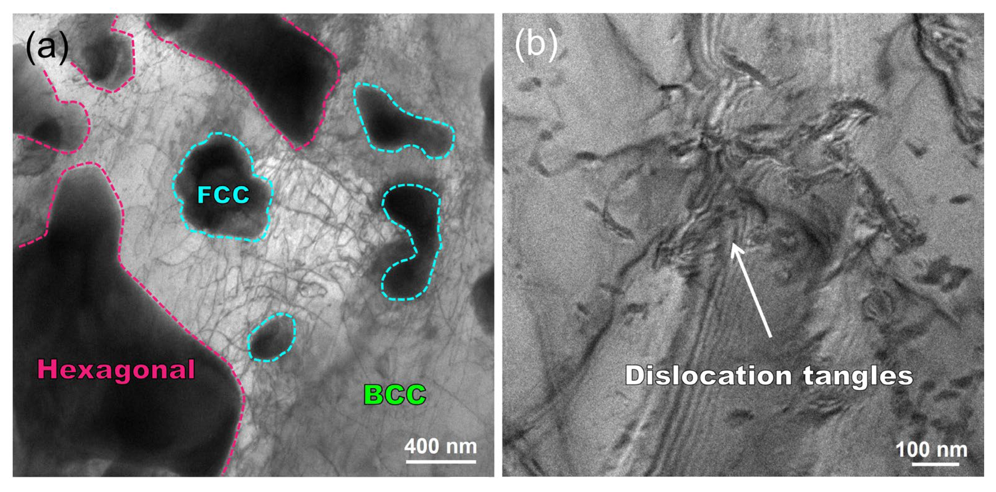 Nanomaterials 14 01016 g011