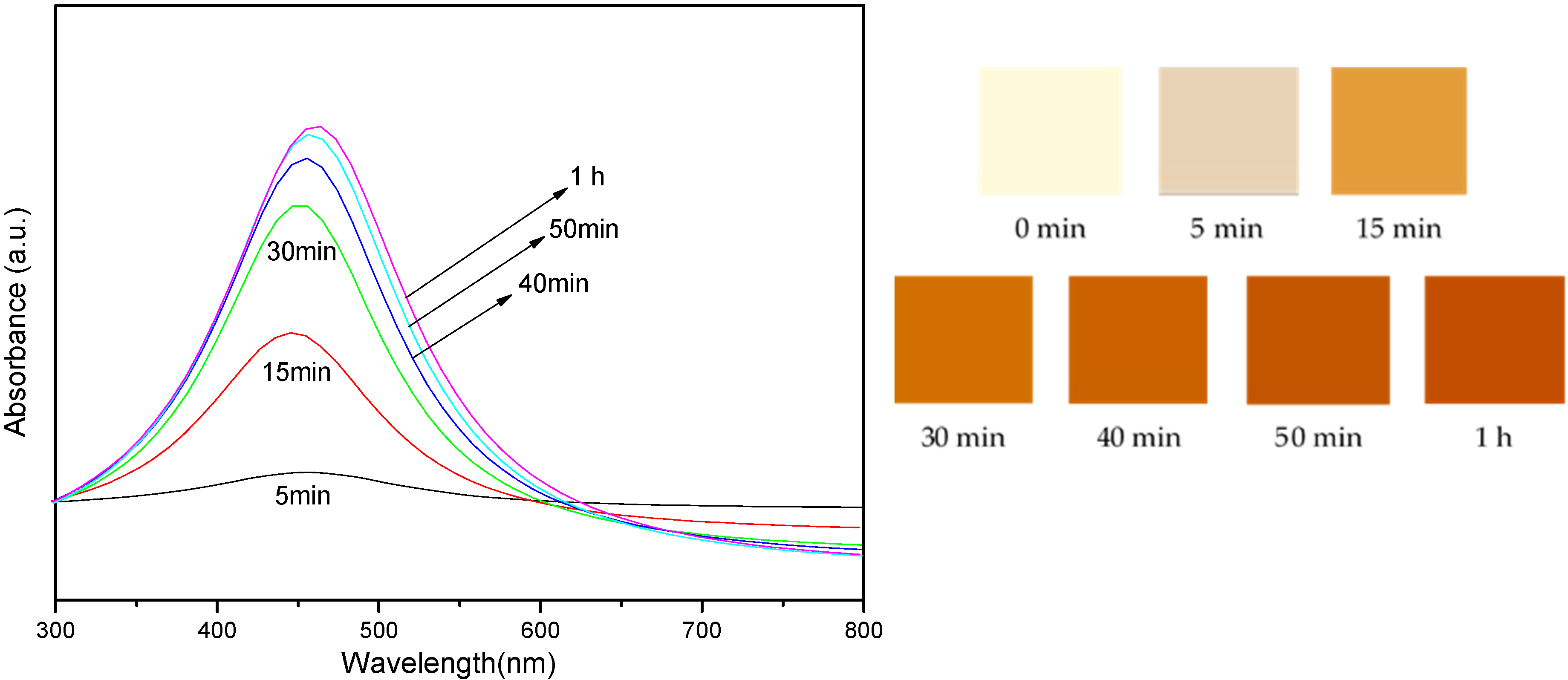Nanomaterials 14 01018 g004