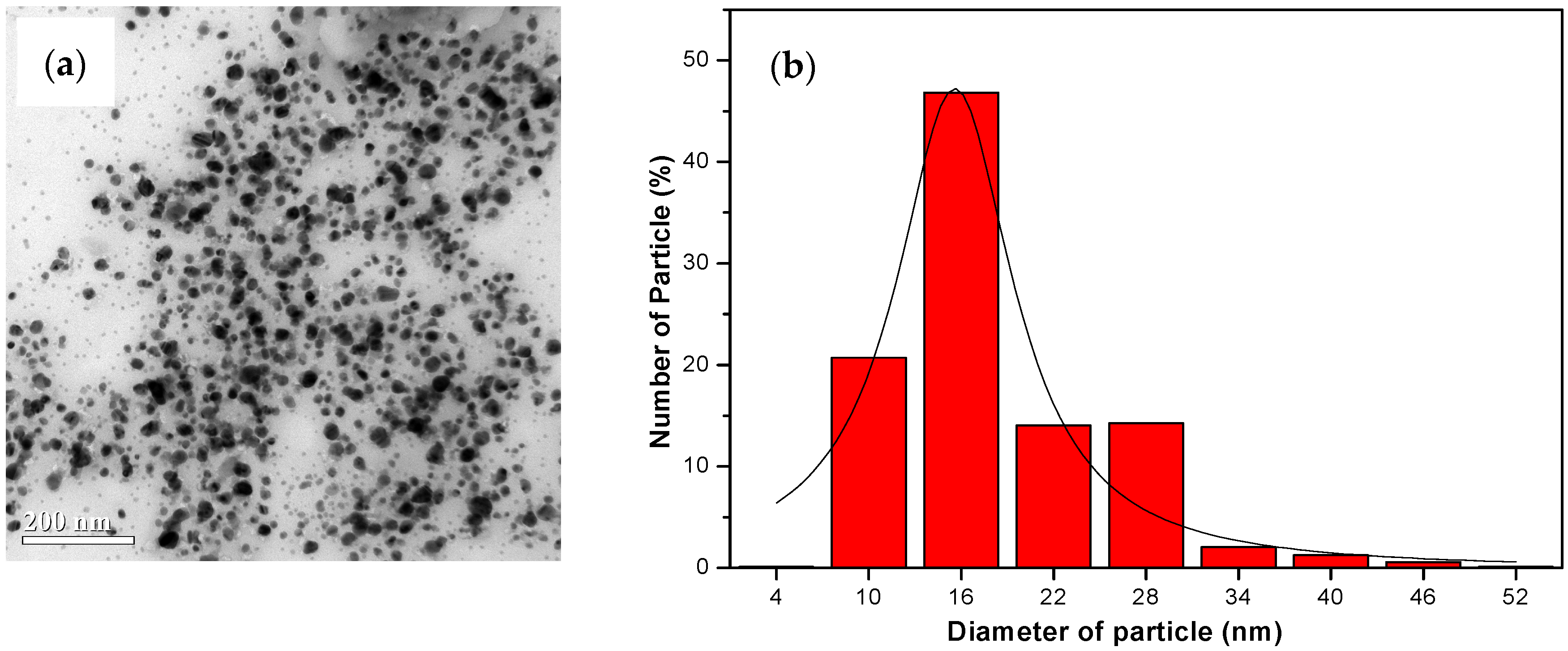 Nanomaterials 14 01018 g009
