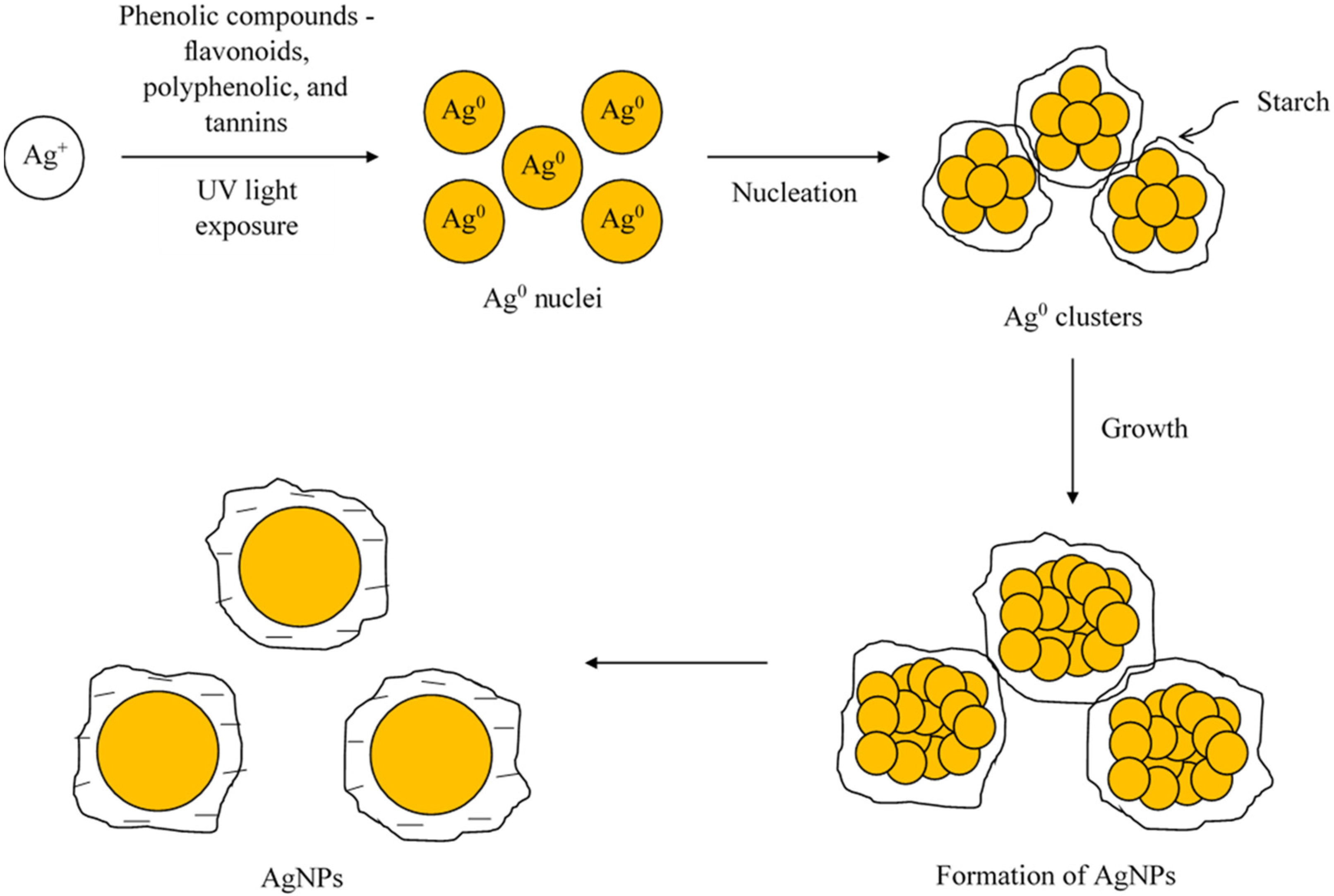Nanomaterials 14 01018 g012