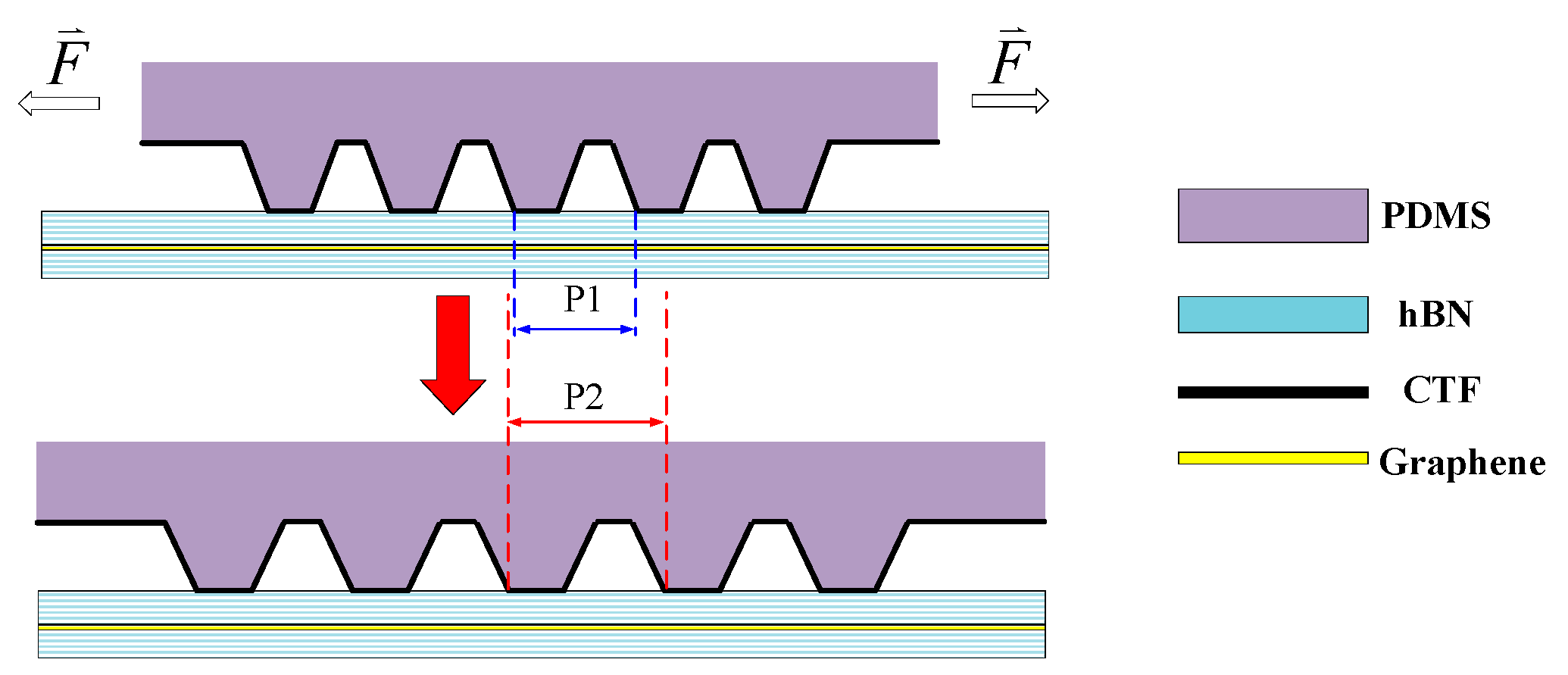 Nanomaterials 14 01019 g006
