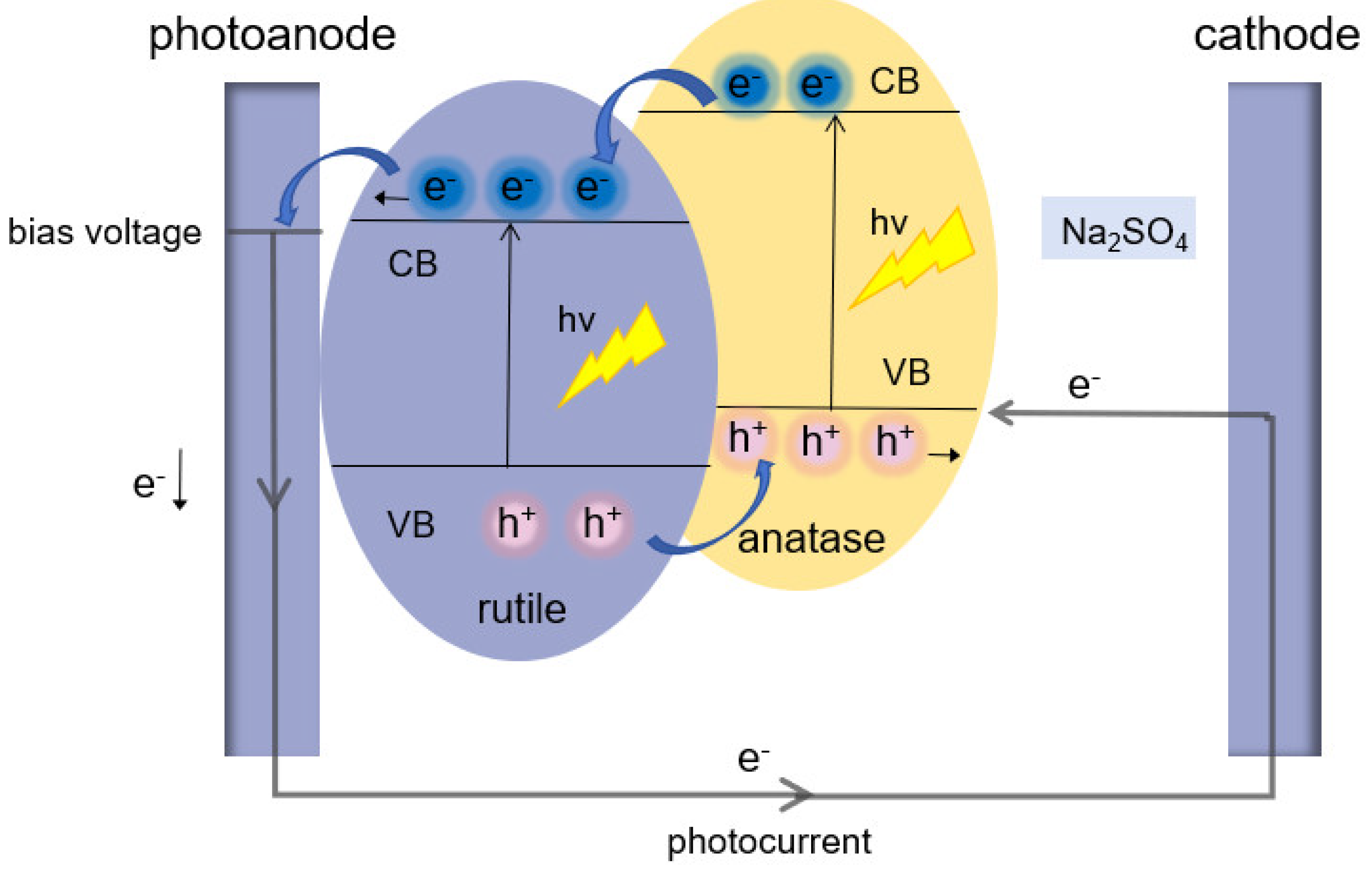Nanomaterials 14 01020 g004